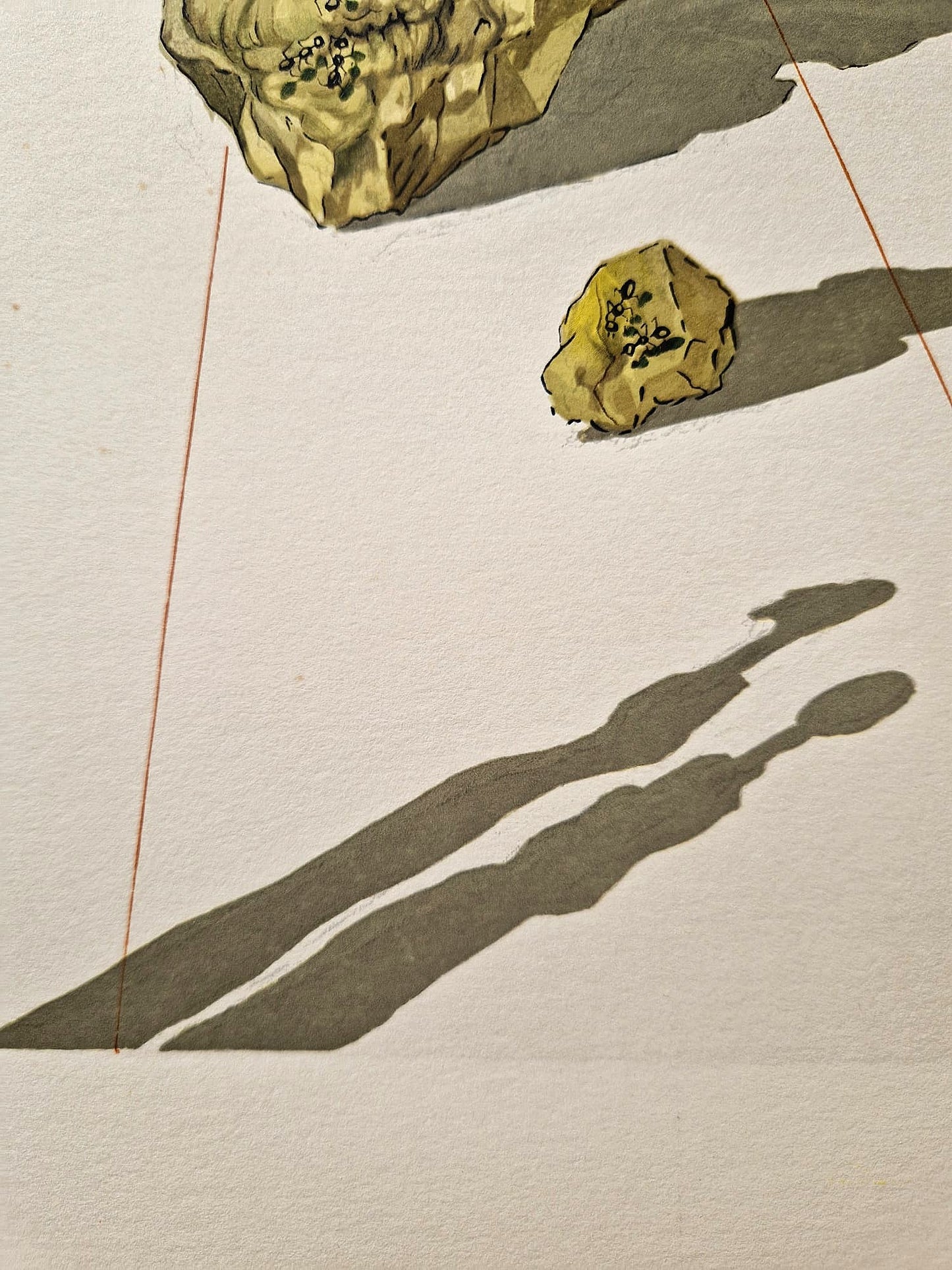 SALVADOR DALI - Pokrytci (Dante - Božská komédia) (Bez rámu) Drevoryt