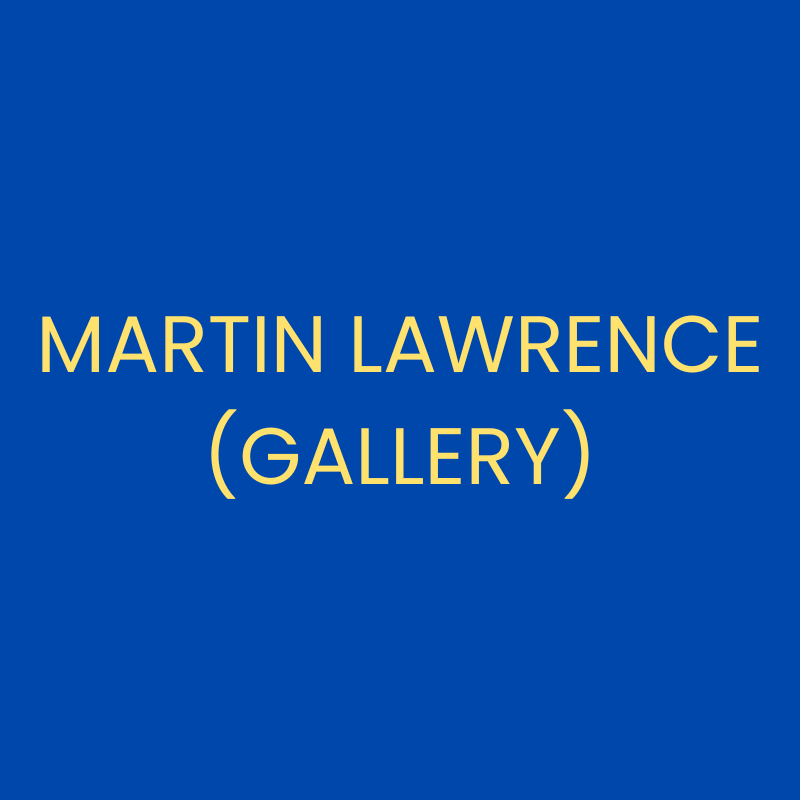 Martin Lawrence (Gallery)