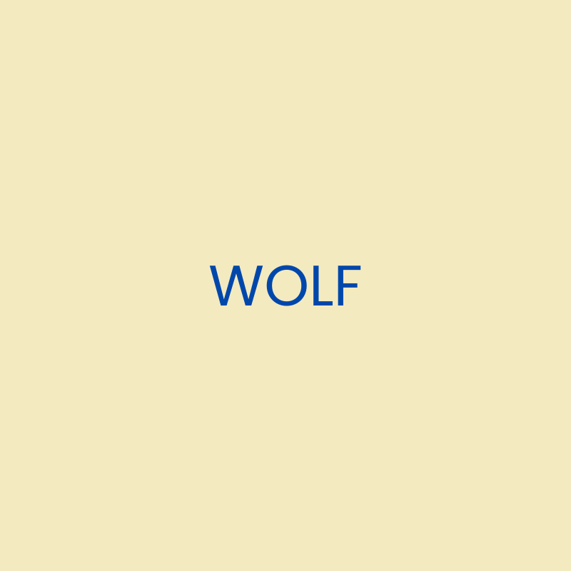 Wolf