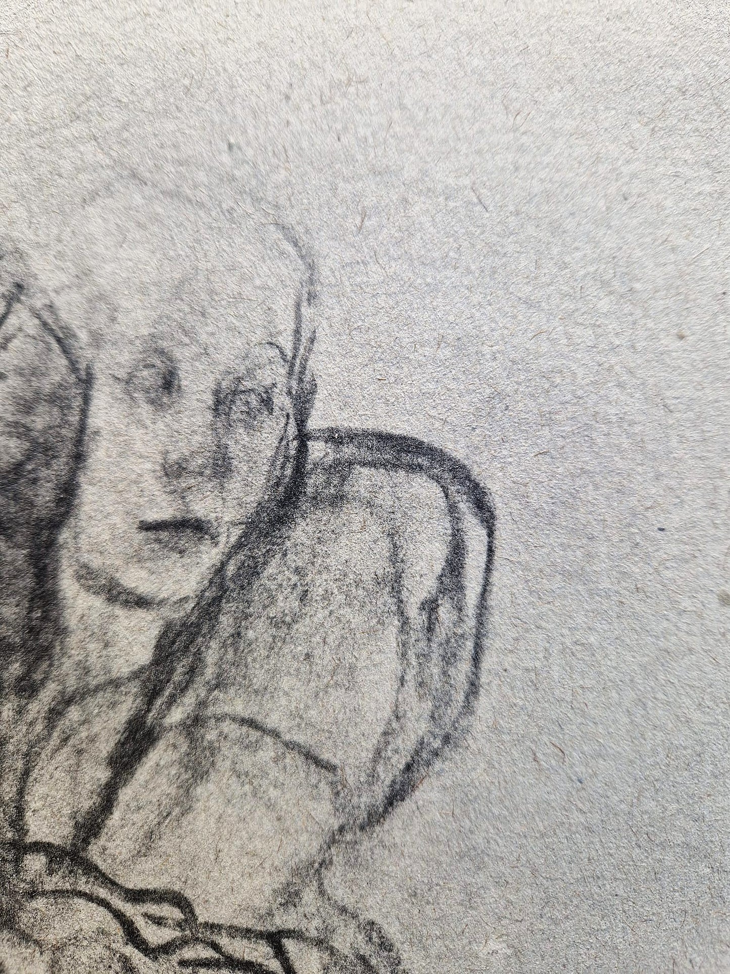 Käthe Kollwitz – Matka (nerámované), vysokokvalitná kolotypia
