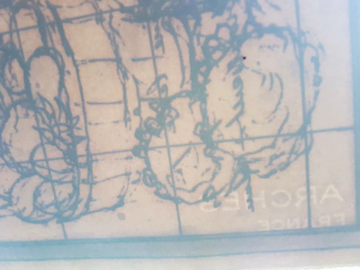 MICHAEL EISEMANN – Zimné ľalie v okne (bez rámu) Litografia