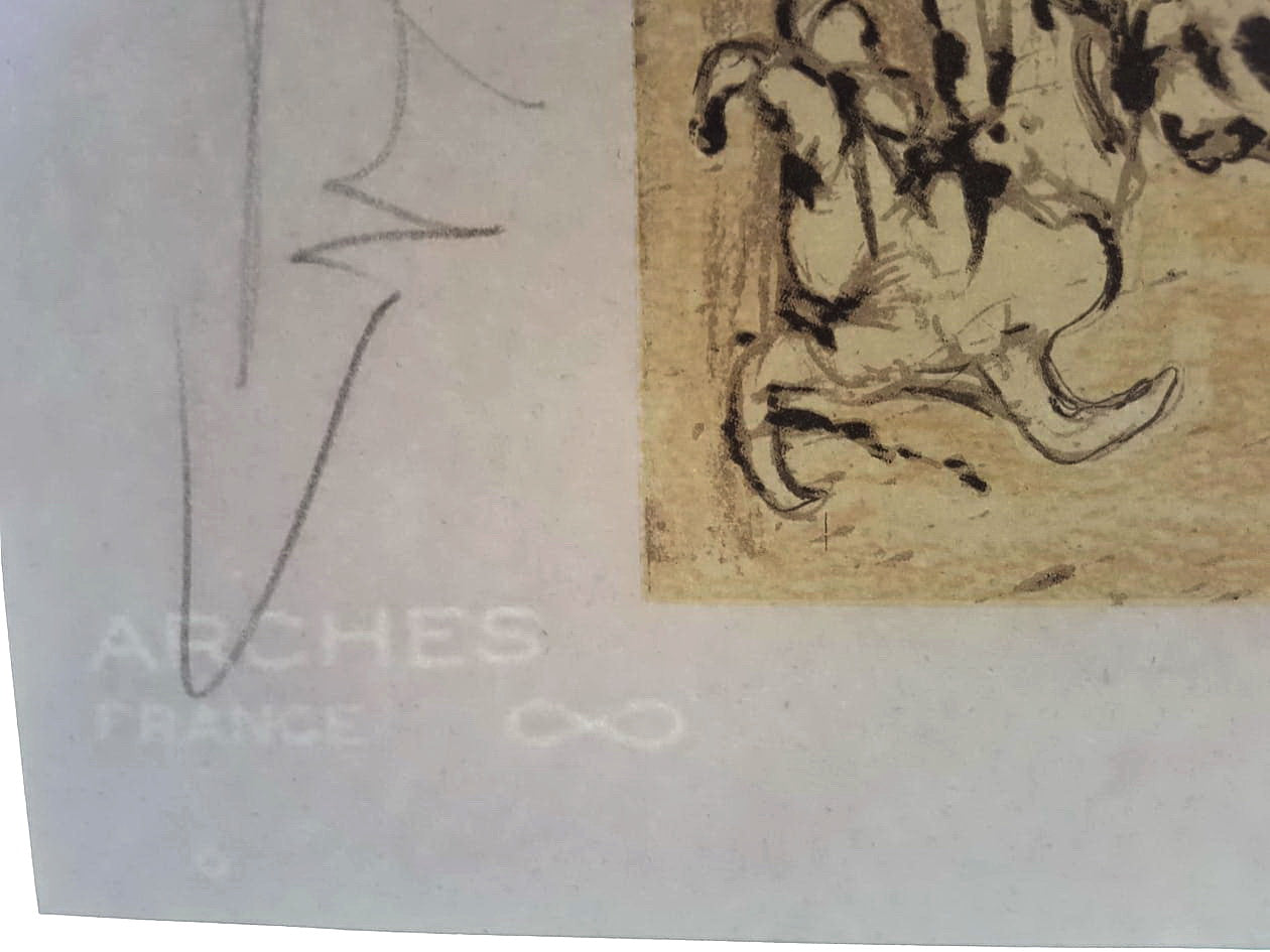 Salvador Dali - Chimera of Chimeras (Lithograph - signed by Dali)