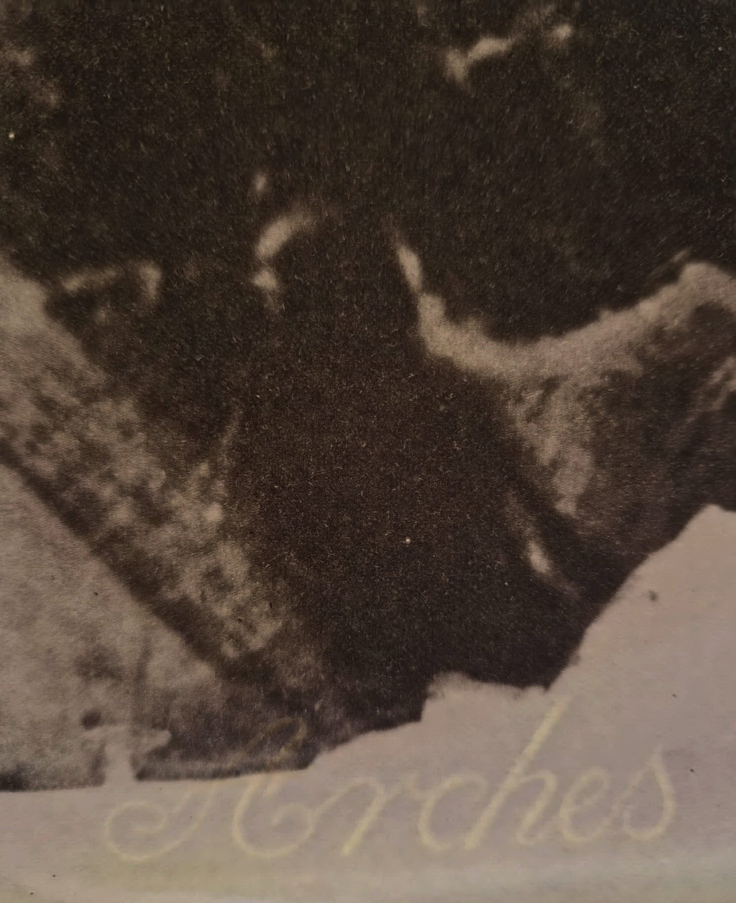 SALVADOR DALI – Hommage à Dürer (handsigned original Lithograph), (Unframed)