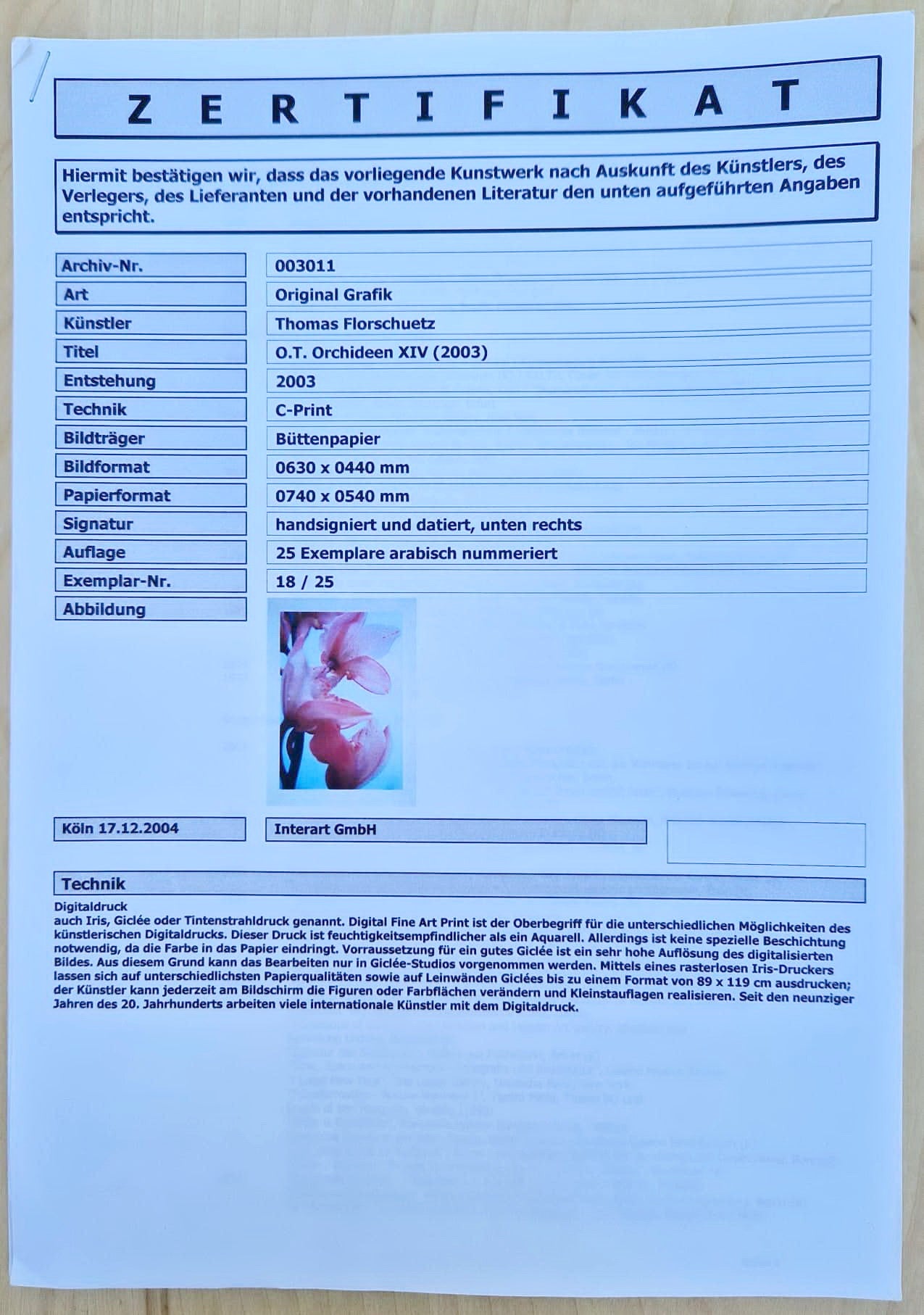 Thomas Florschuetz - O. T. Orchideen XIV (Certificate) (Unframed) Original Color C-Print