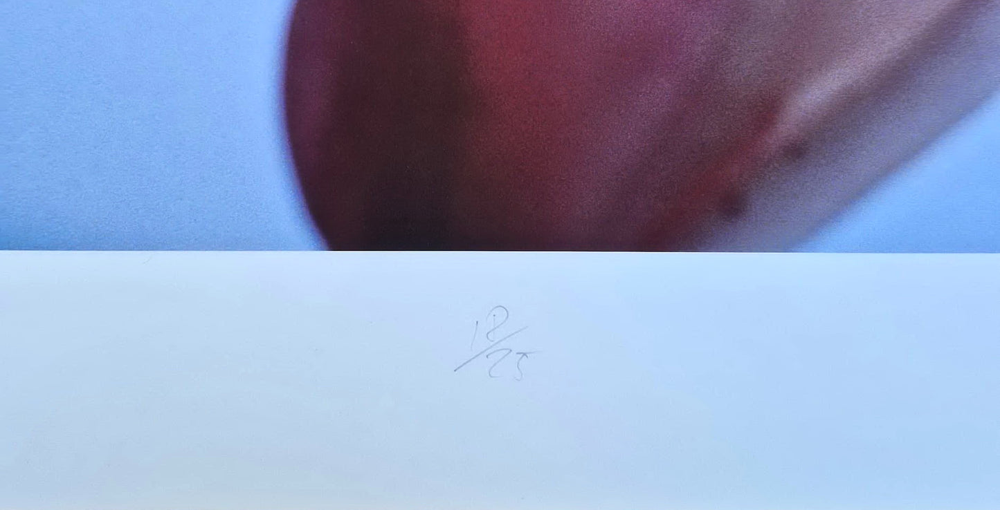 Thomas Florschuetz - O. T. Orchideen XIV (Certificate) (Unframed) Original Color C-Print