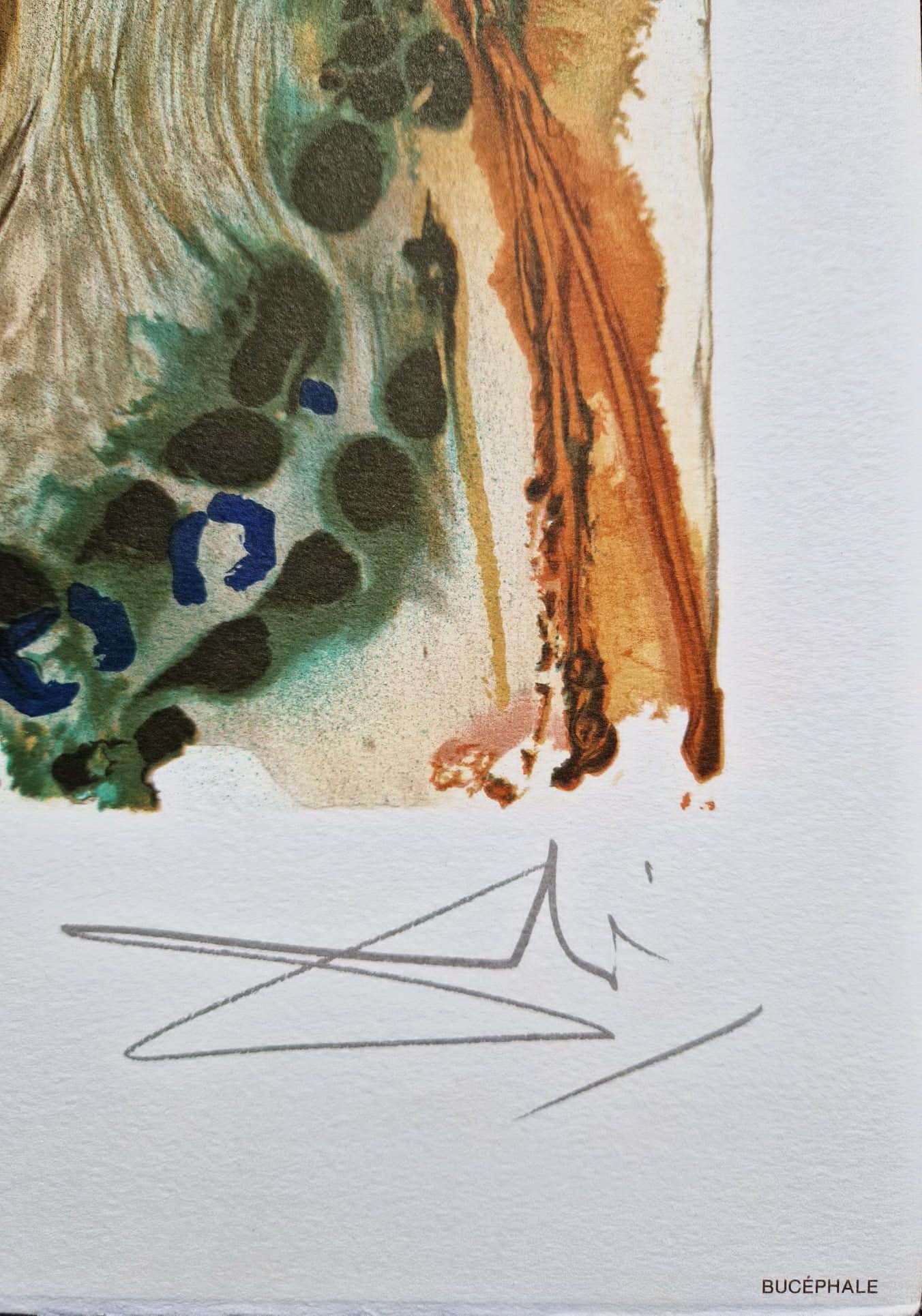 SALVADOR DALI - Bucephale (CERTIFICATE) (Unframed) Original lithograph by S.P.A.D.E.M (Israel)