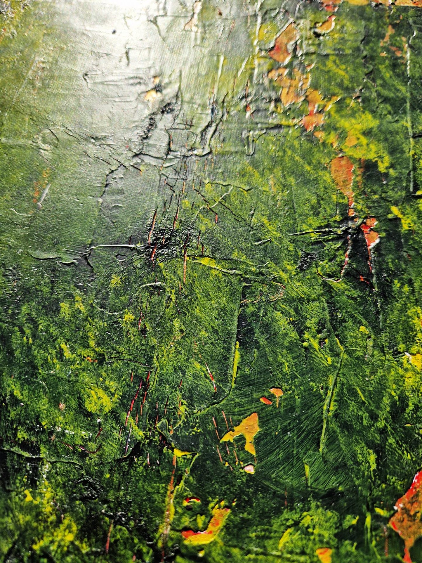 DENIS MARCON - Rain Forest (CERTIFICATE) (UNIQUE - oilpainting/acrylic)