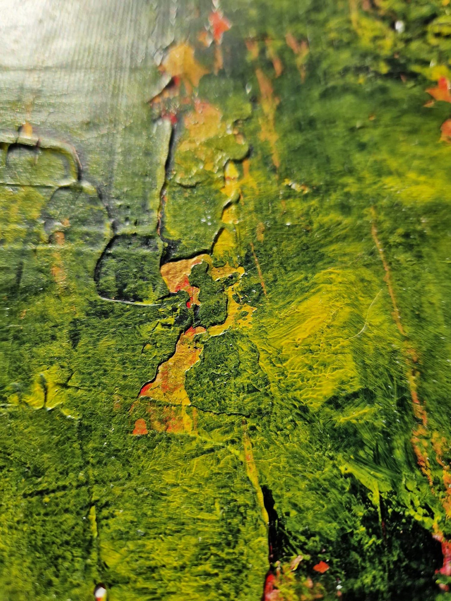 DENIS MARCON - Rain Forest (CERTIFICATE) (UNIQUE - oilpainting/acrylic)