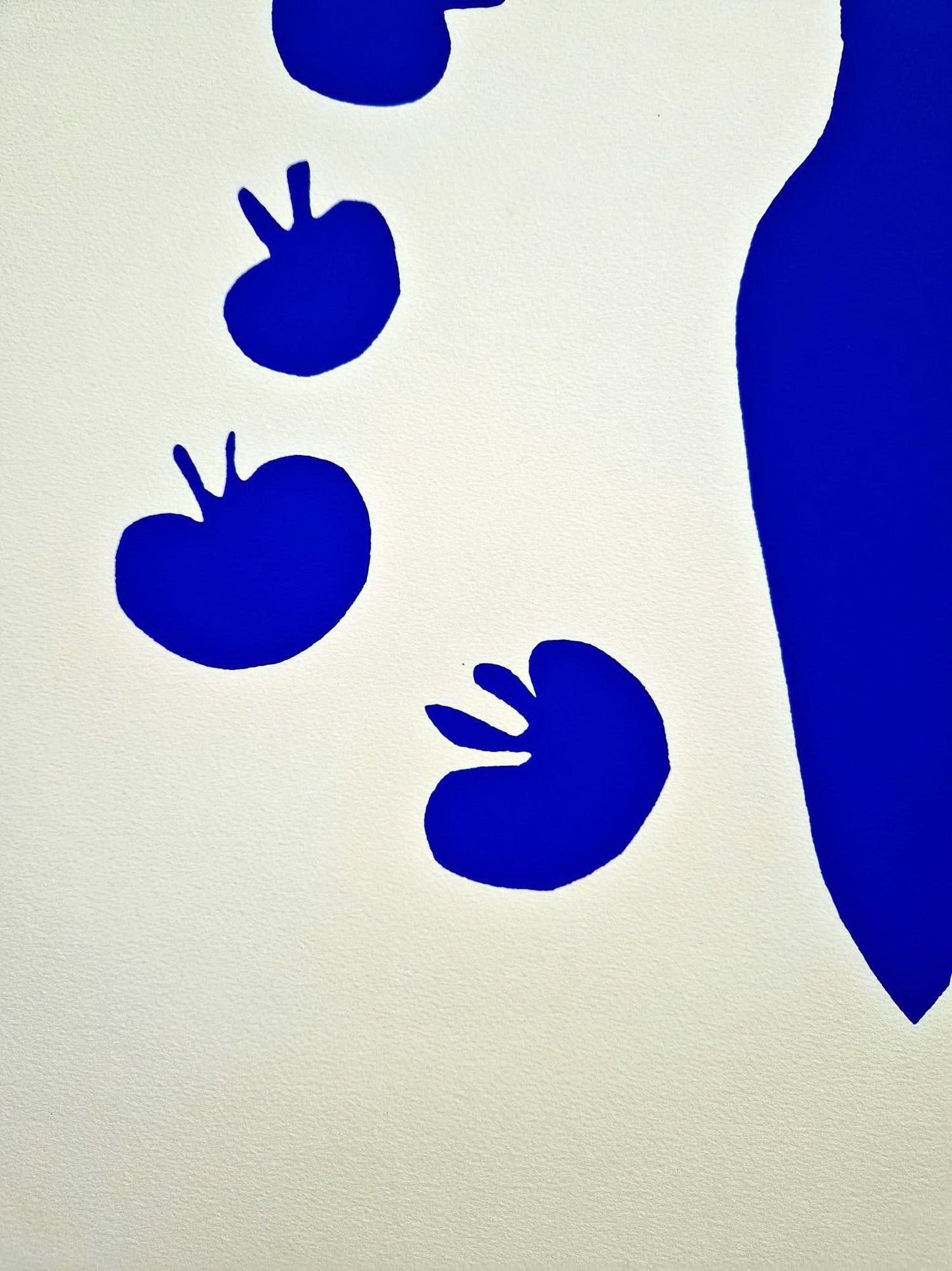 Henri Matisse - Femme a l'Amphore et Grenades (Unframed) Serigraphy