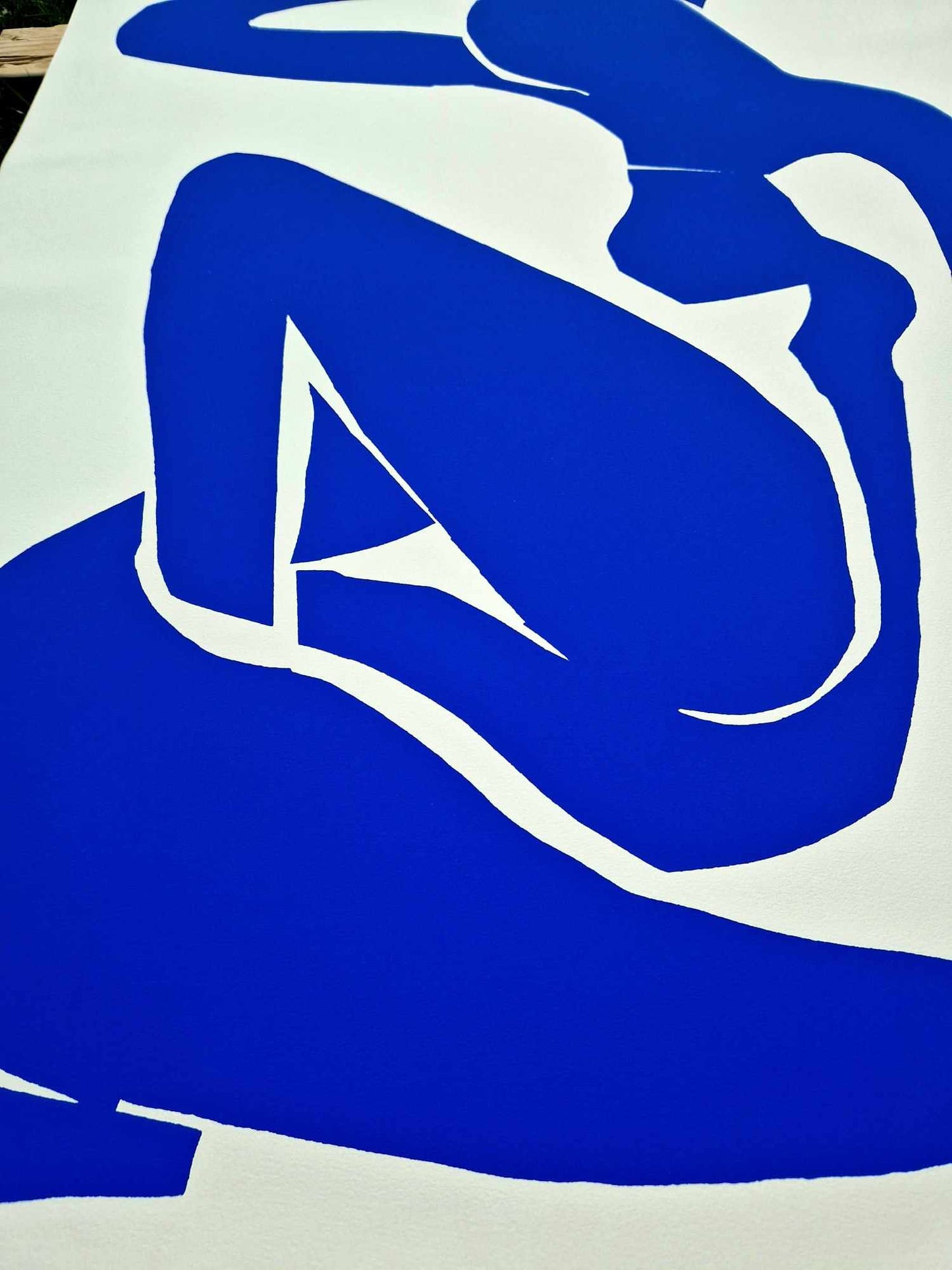 Matisse Henri - Modrý akt I (veľký formát) (Nerámovaný) Sieťotlač