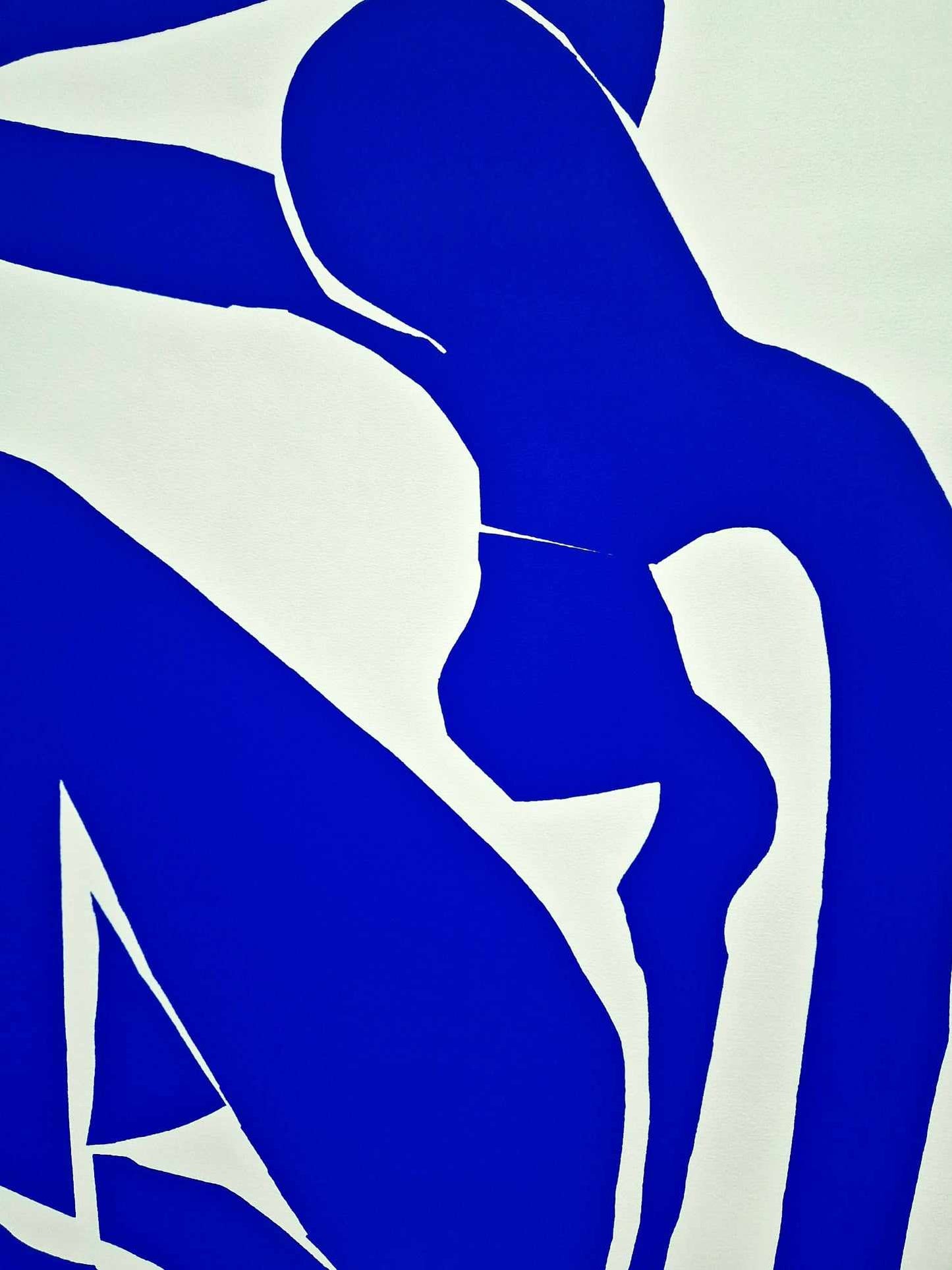 Matisse Henri - Modrý akt I (veľký formát) (Nerámovaný) Sieťotlač