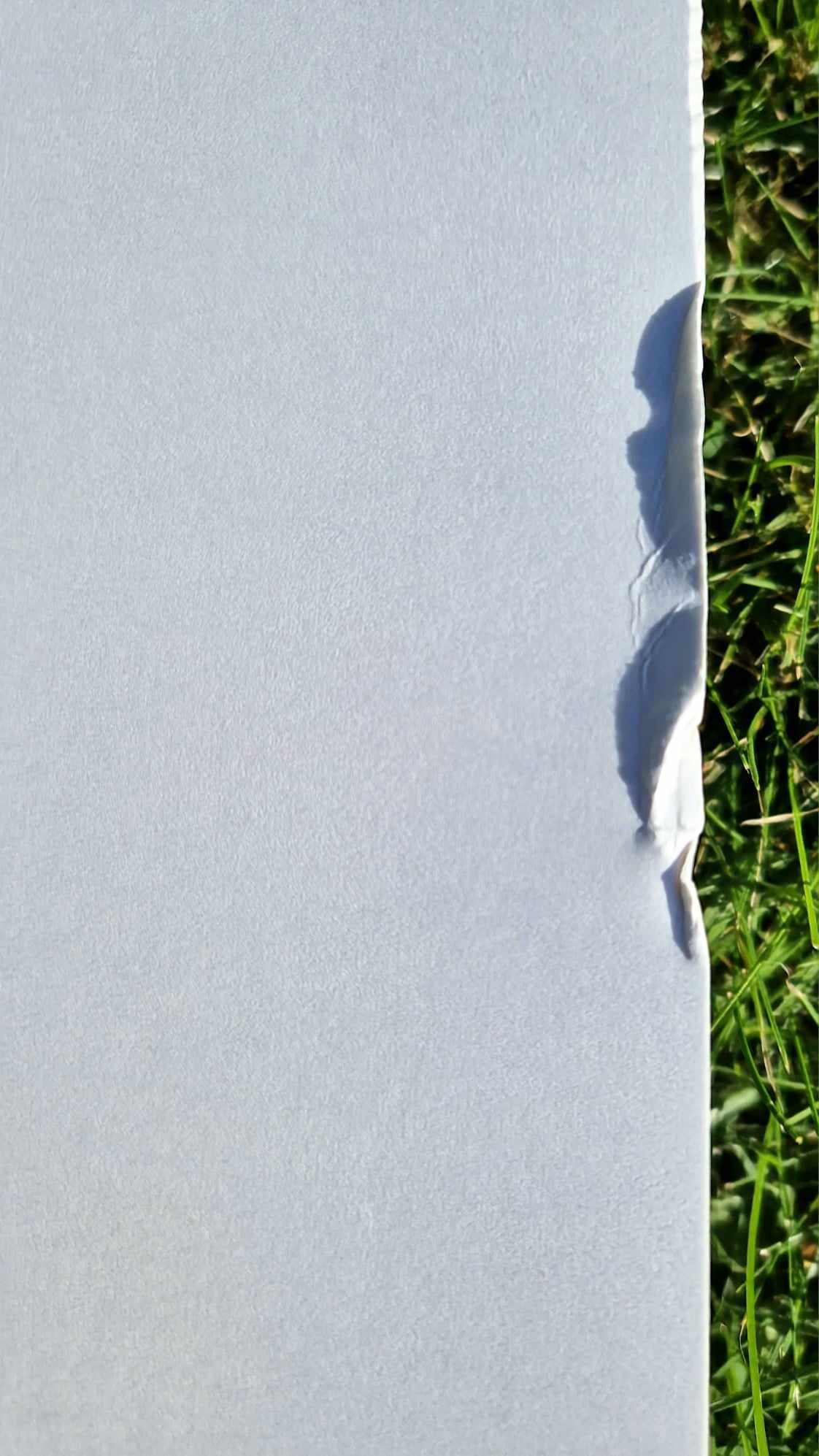 ALFRED GOCKEL - Elephant Joy (Unframed) Serigraph