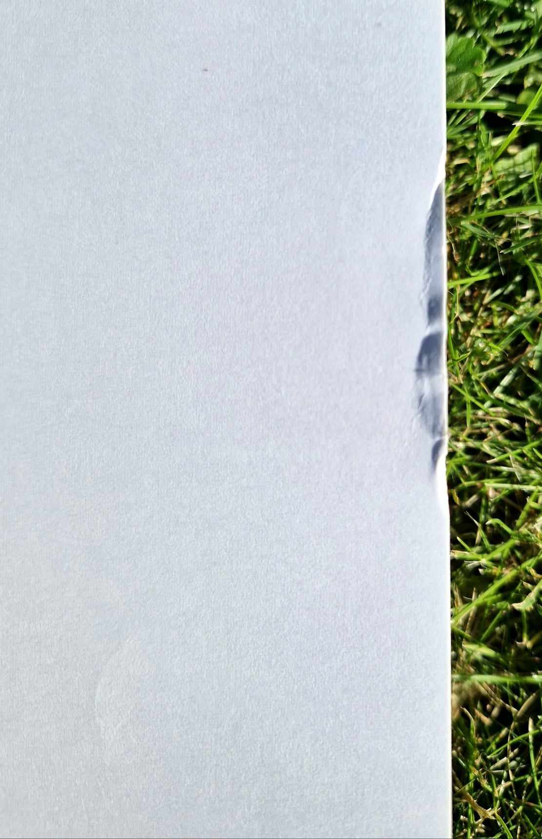 ALFRED GOCKEL - Elephant Joy (Unframed) Serigraph