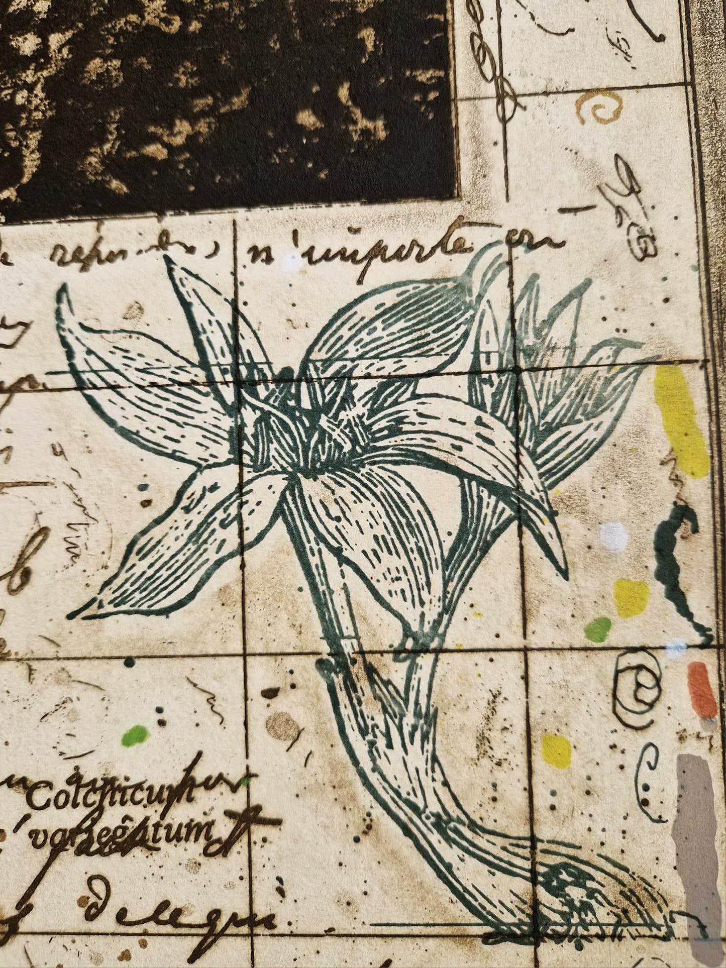 MICHAEL EISEMANN – Písma krajiny (Nerámované) Litografia