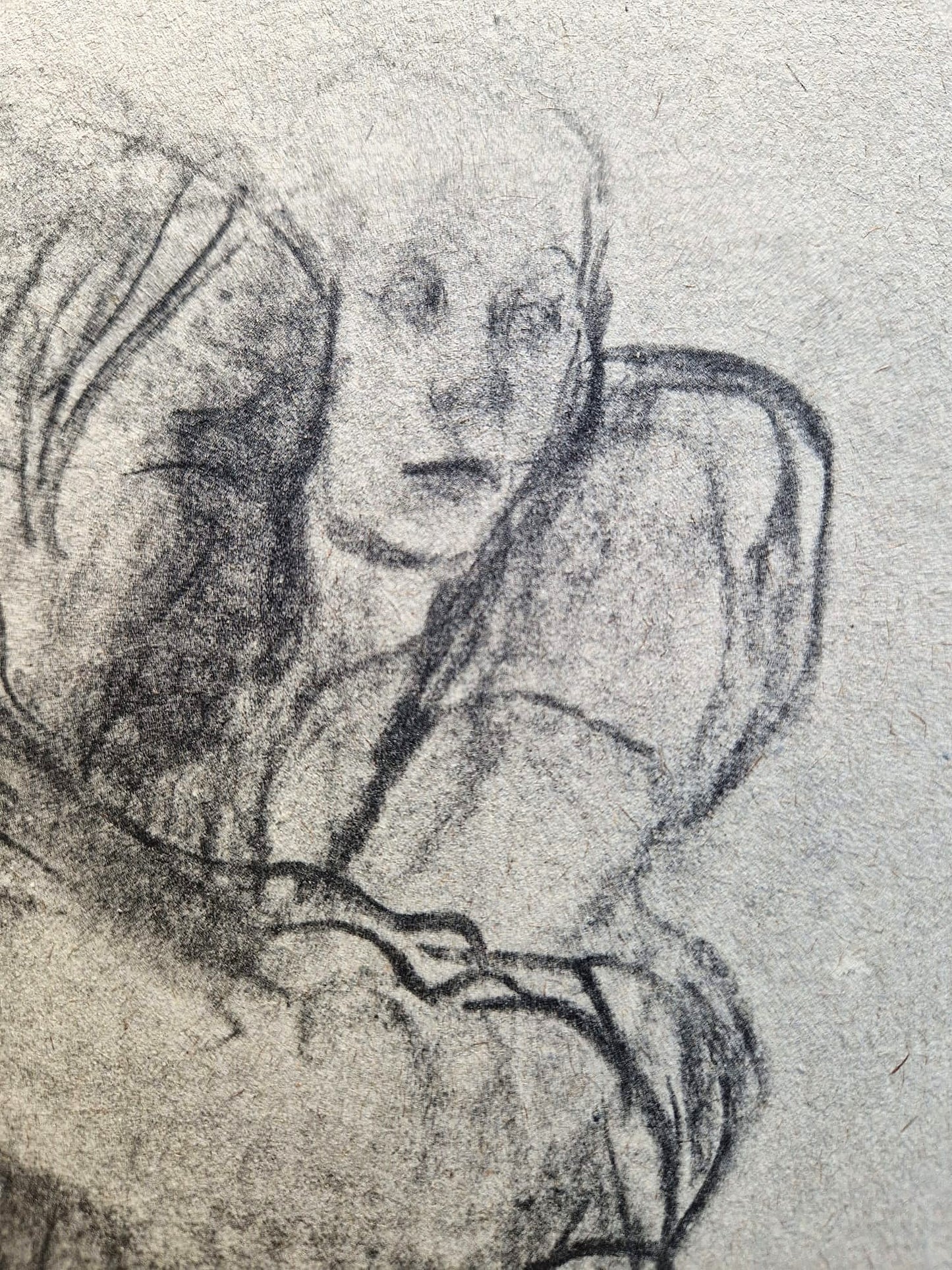 Käthe Kollwitz – Matka (nerámované), vysokokvalitná kolotypia
