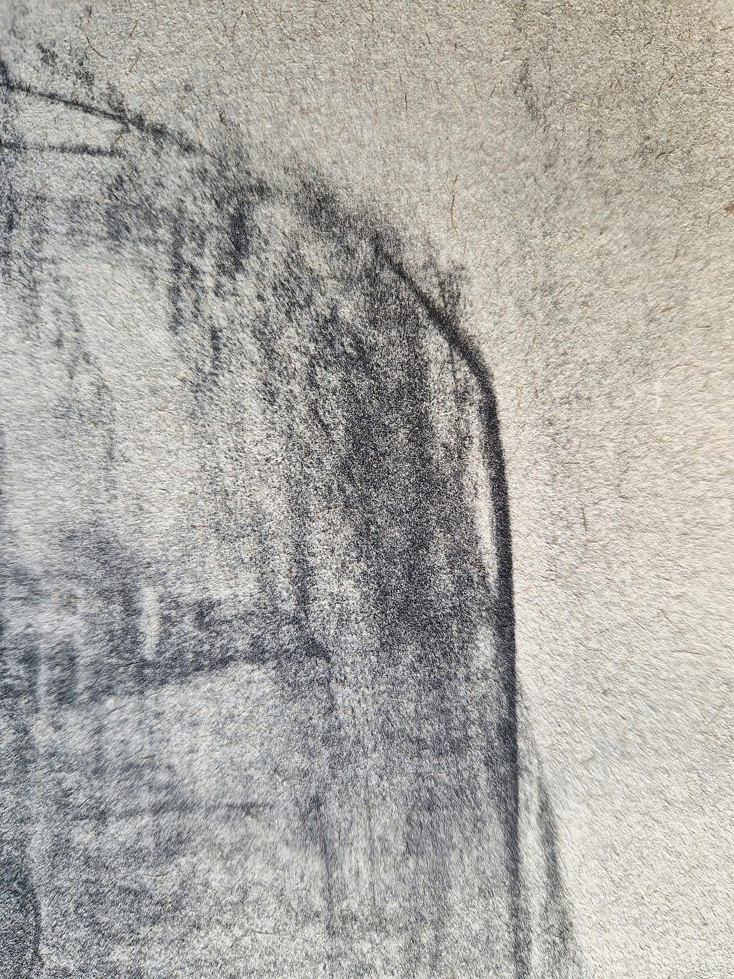 Käthe Kollwitz – Matka (nerámované), vysokokvalitná kolotypia
