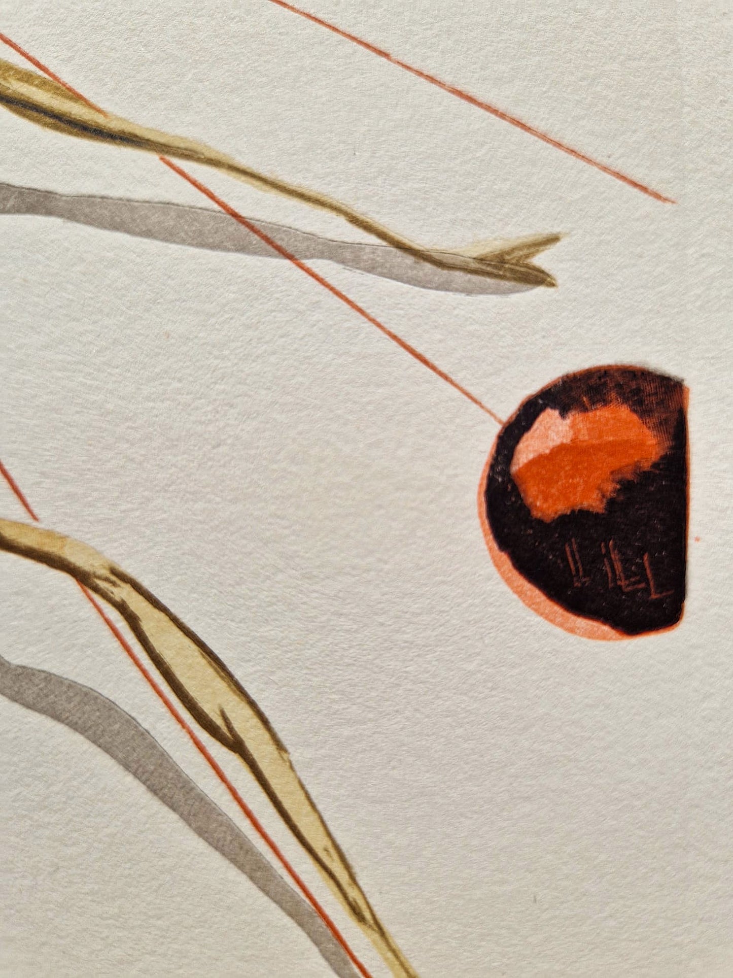 SALVADOR DALI - Arachne (Dante - Divine Comedy) (Unframed)