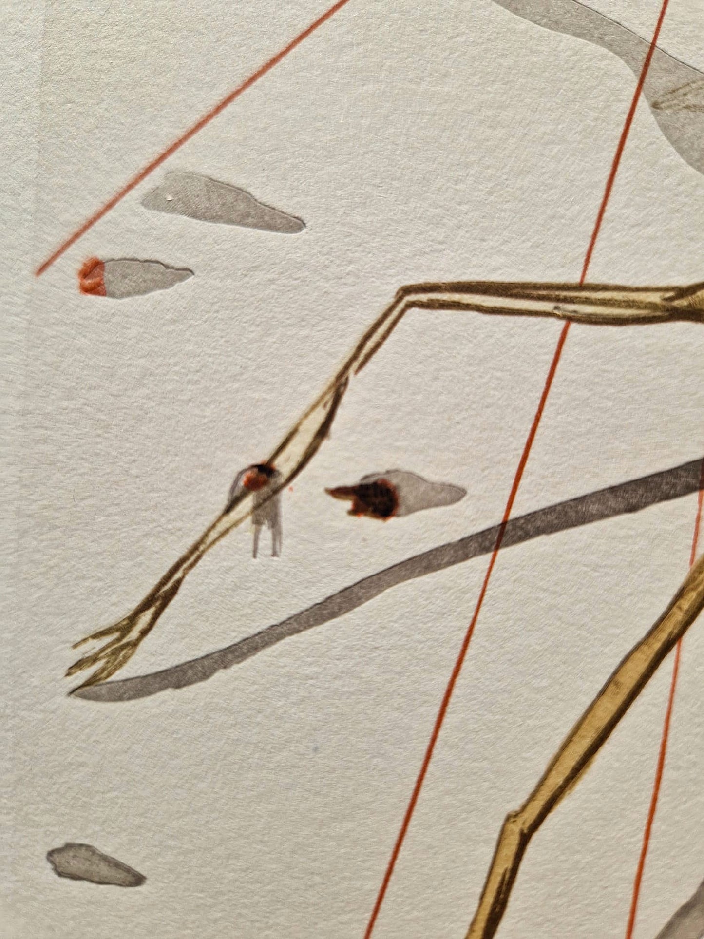 SALVADOR DALI - Arachne (Dante - Divine Comedy) (Unframed)