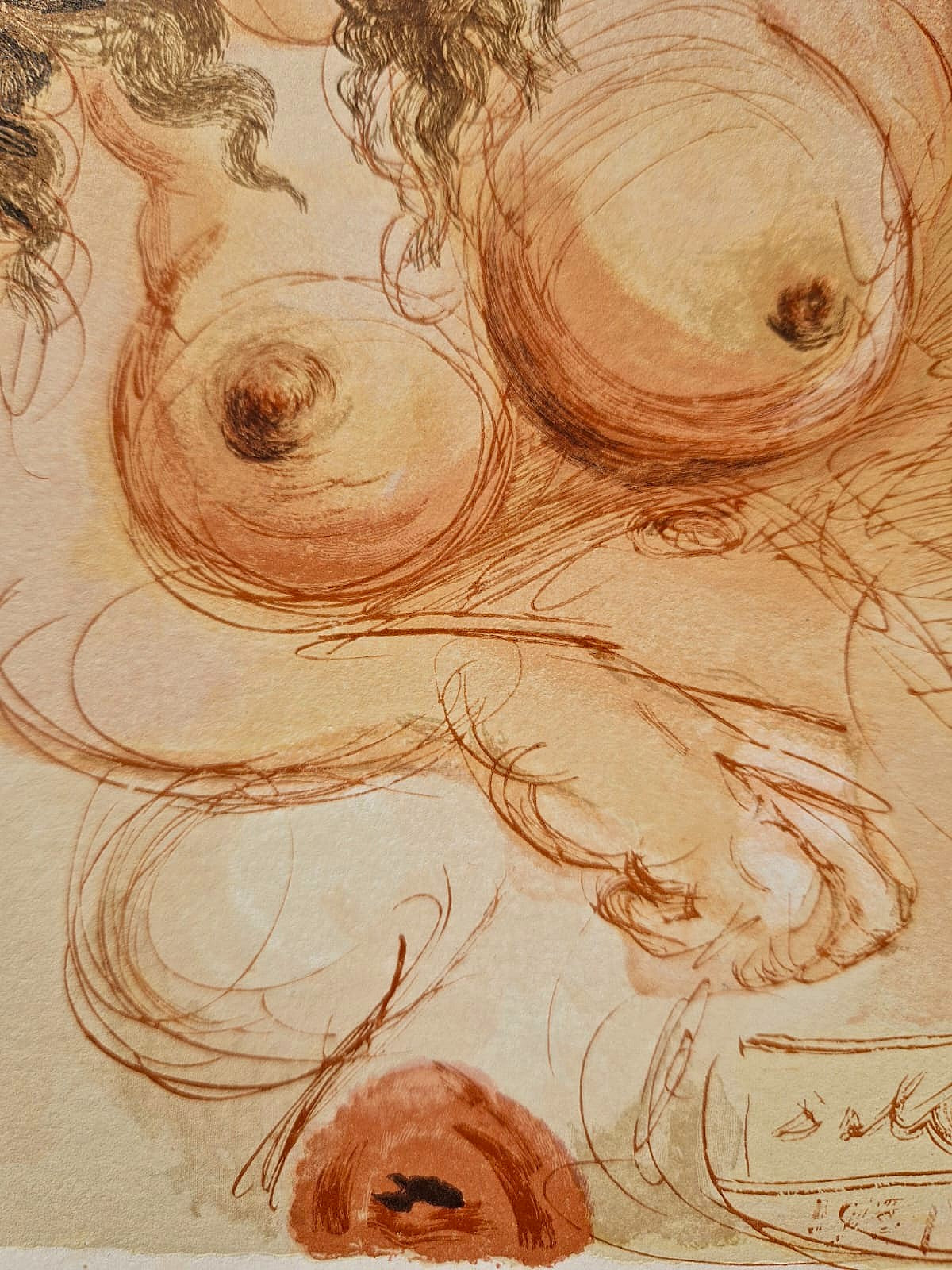 SALVADOR DALI - Orol milosti (Dante - Božská komédia) (Bez rámu) Drevoryt