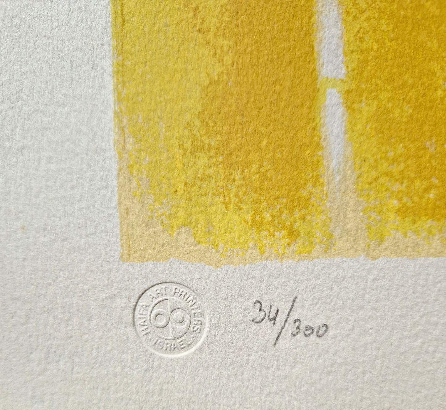 BATIA MAGAL - Getting Together (DISCOUNT!) (Unframed) Lithograph