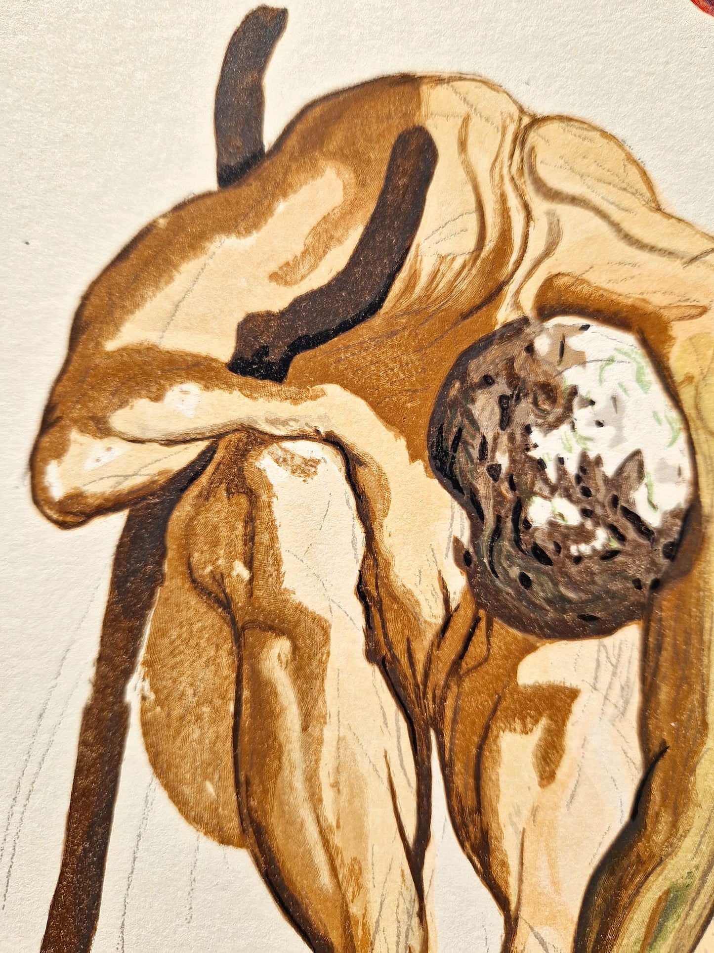 SALVADOR DALI - Zákon lezenia (Dante - Božská komédia) (Bez rámu)