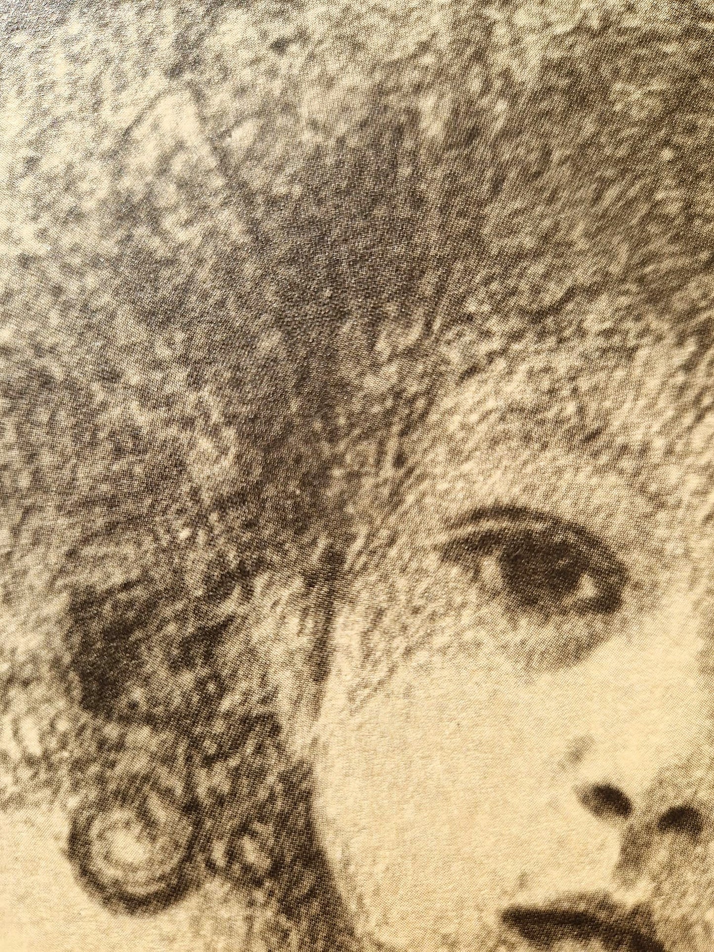 GUSTAV KLIMT – Hlava dievčatka (bez rámu), litografická tlač