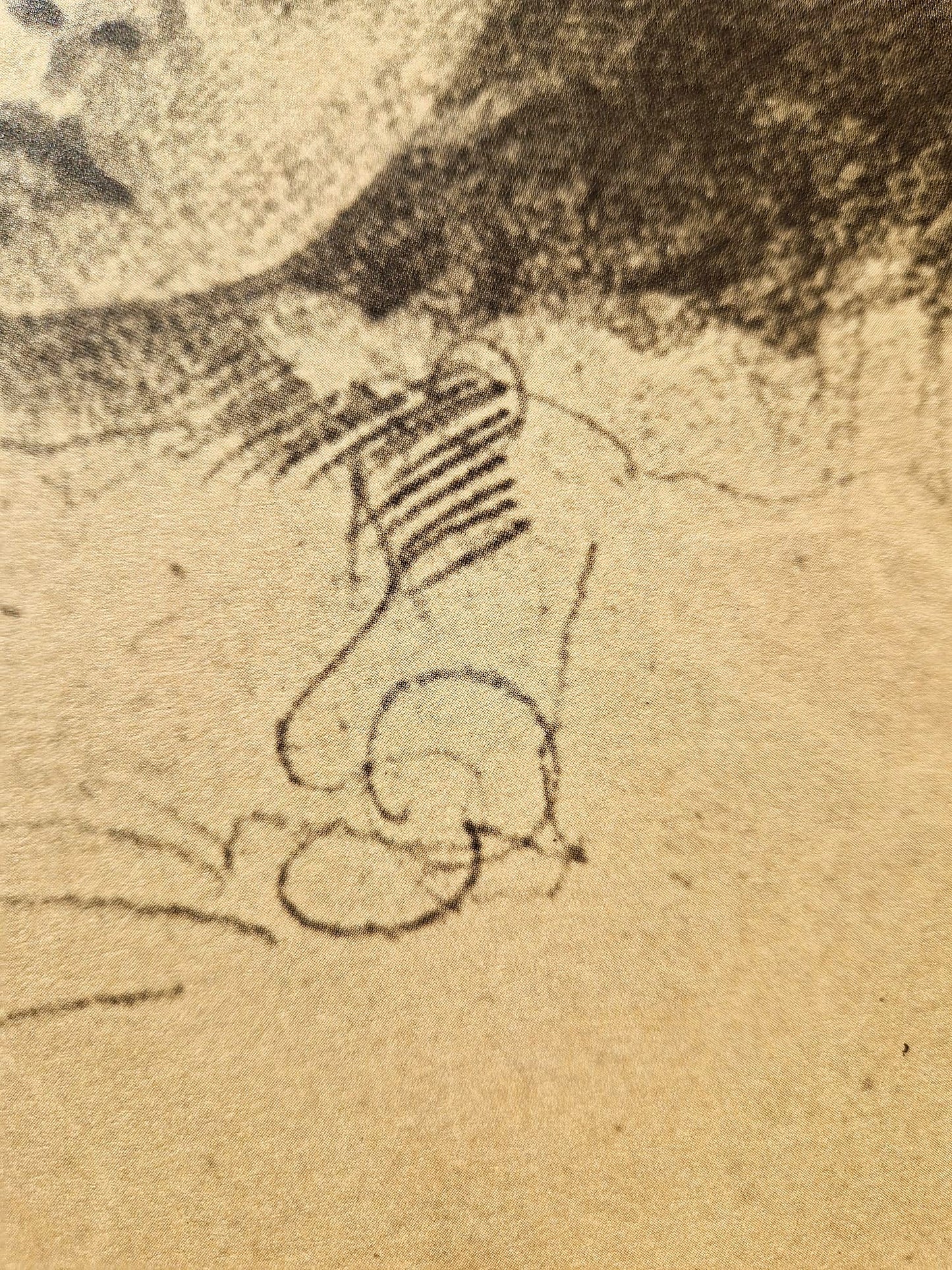 GUSTAV KLIMT – Hlava dievčatka (bez rámu), litografická tlač