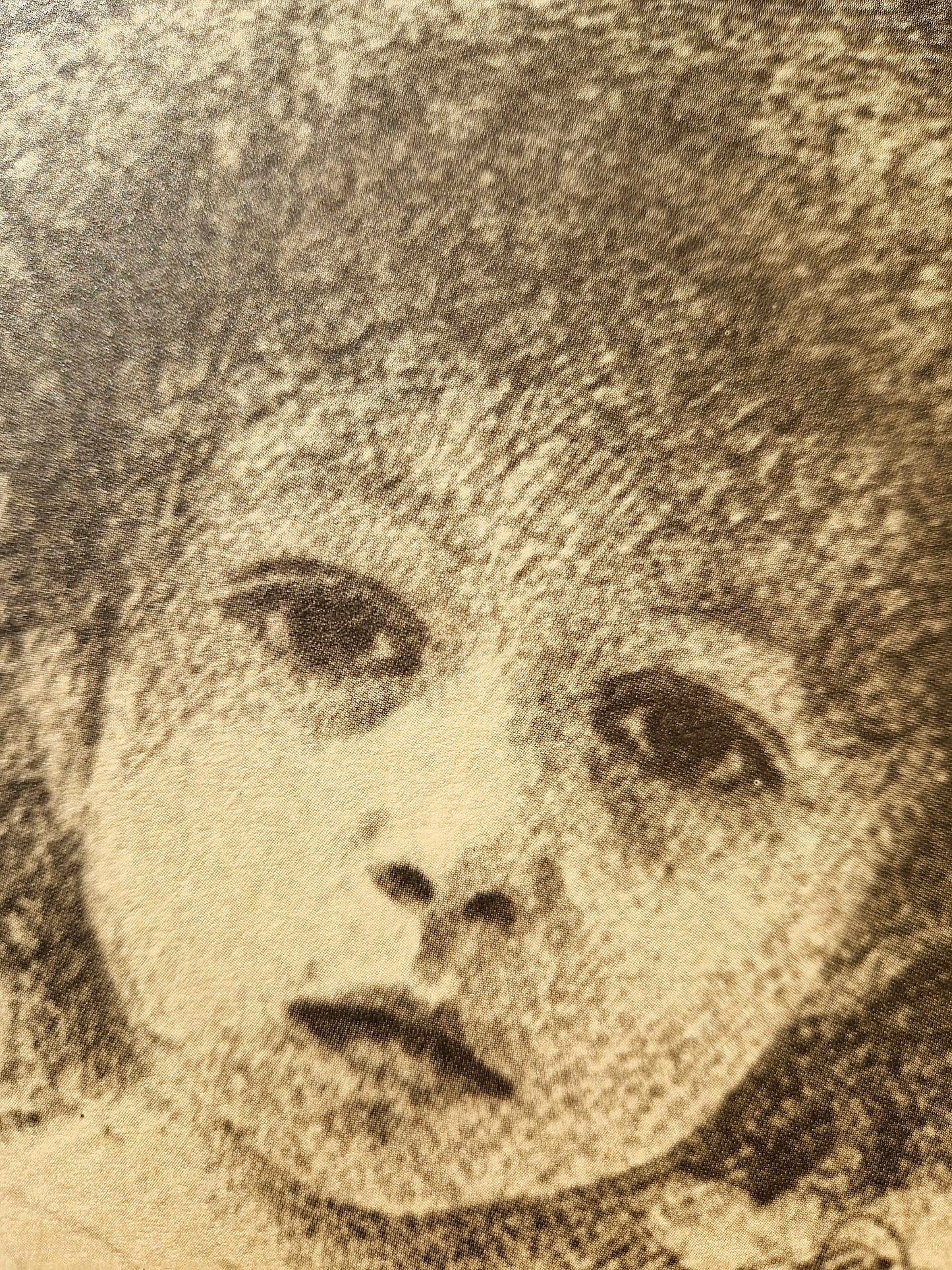 GUSTAV KLIMT – Hlava dievčatka (bez rámu), litografická tlač