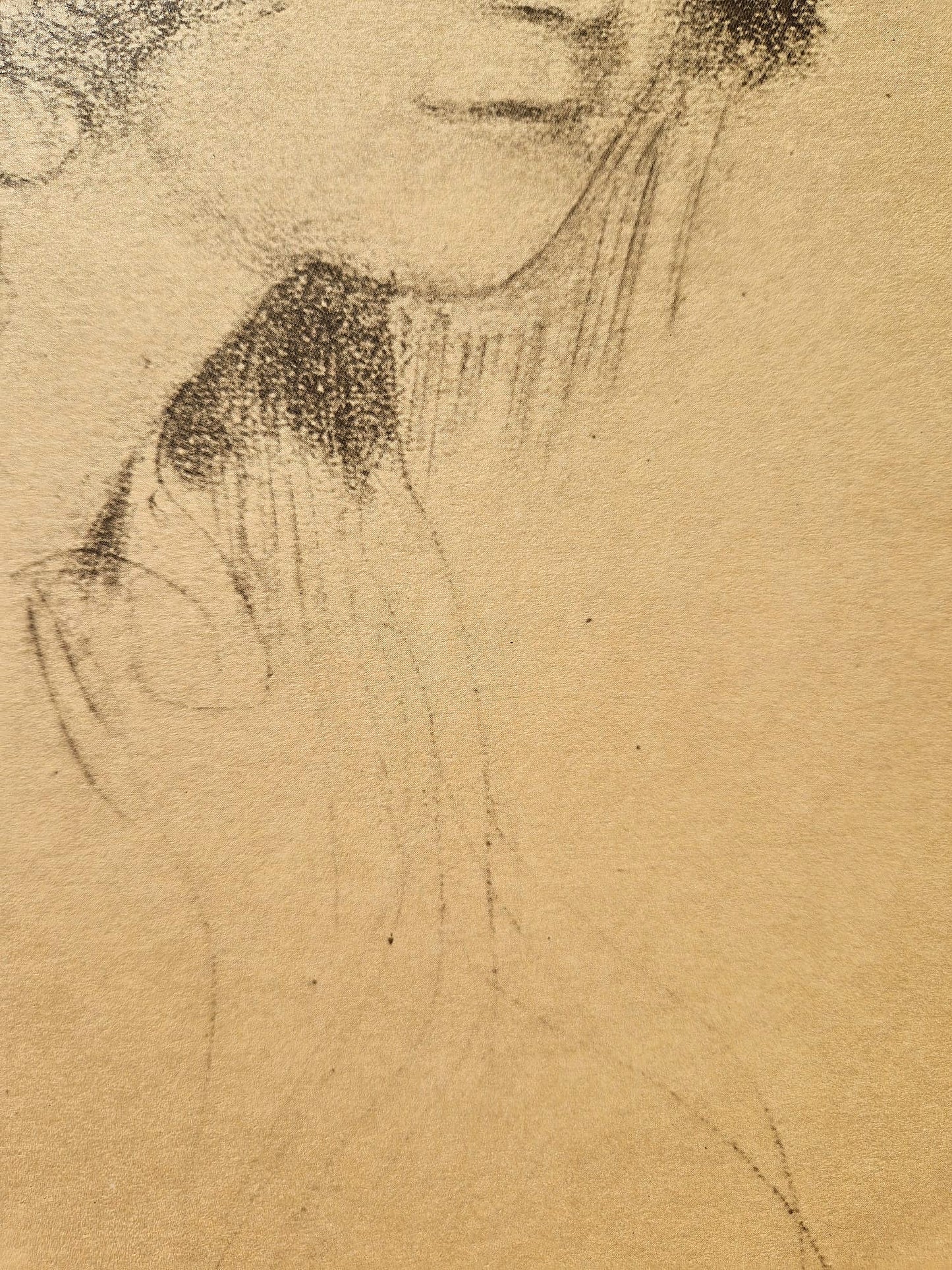 GUSTAV KLIMT - Portrét mladej ženy (bez rámu), litografická tlač