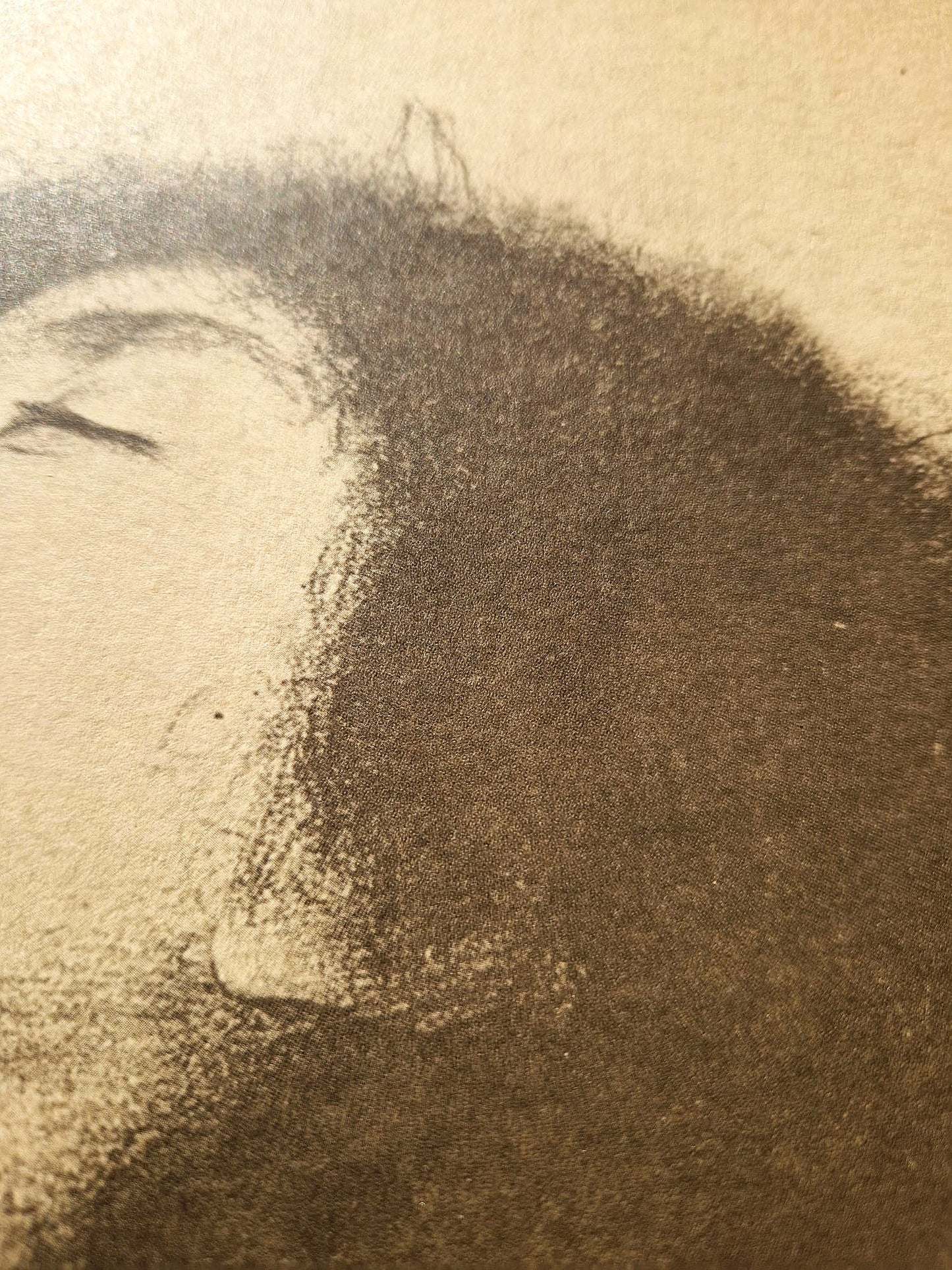 GUSTAV KLIMT – Štúdia pre Mŕt*u Júliu (Bez rámu), litografická tlač