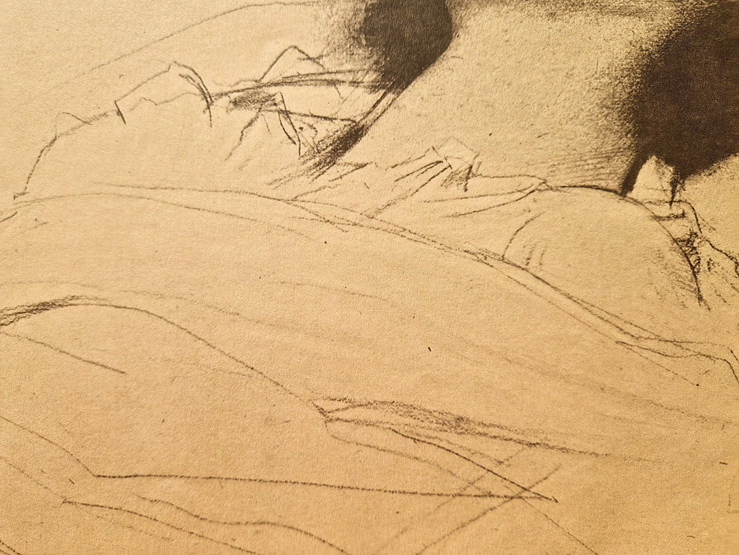 GUSTAV KLIMT – Štúdia pre Mŕt*u Júliu (Bez rámu), litografická tlač