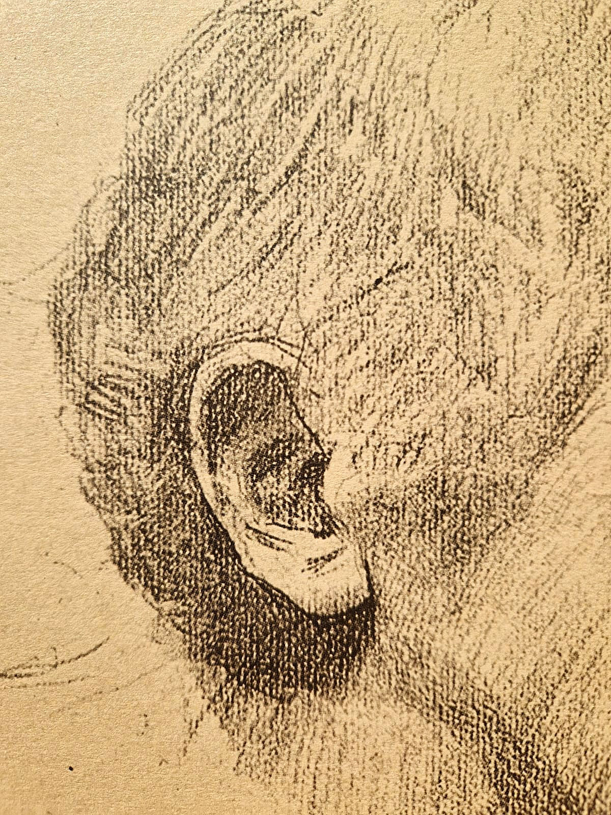 GUSTAV KLIMT – Portrét starca s rysacím perom (bez rámu), litografická tlač