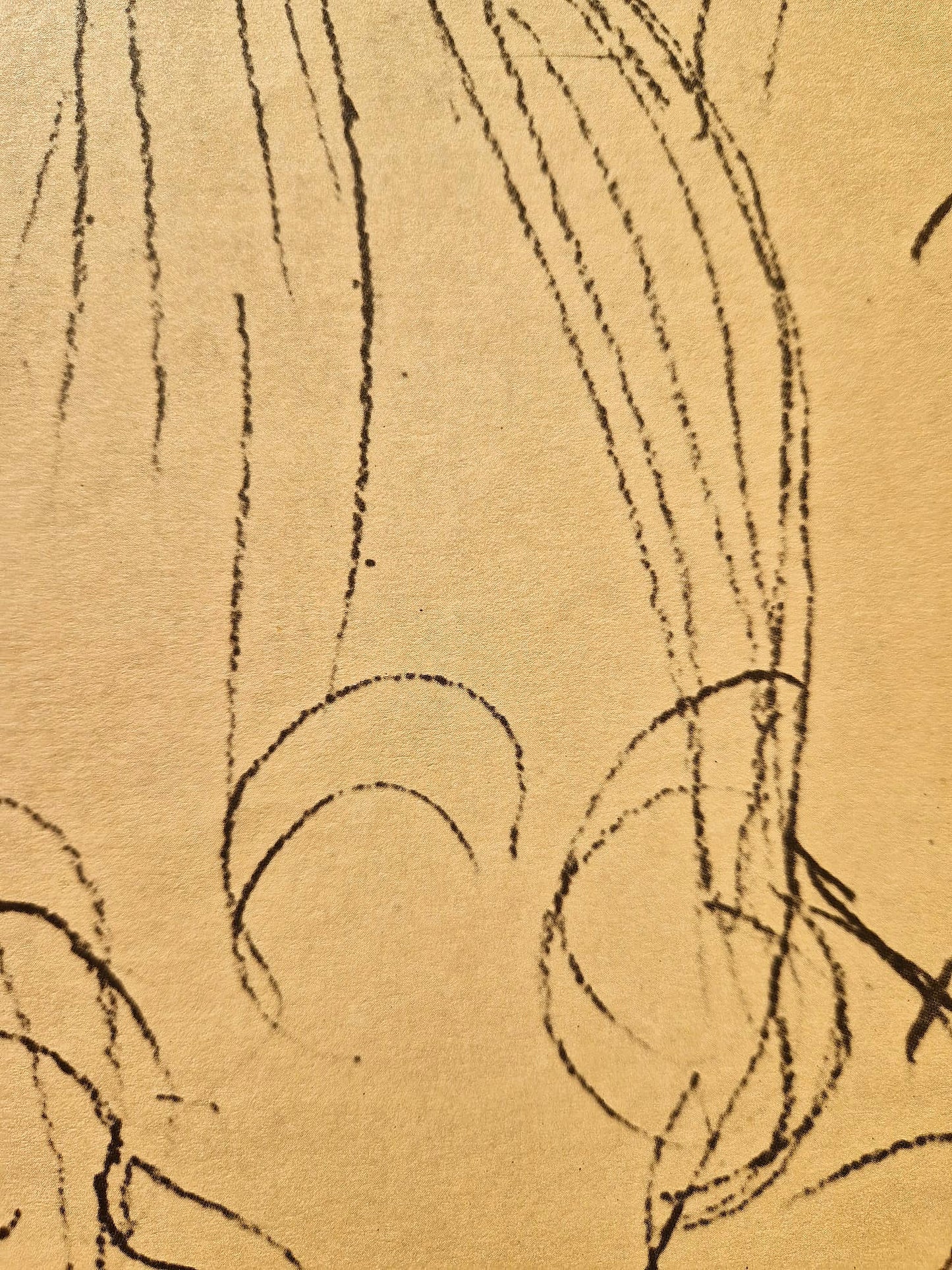 GUSTAV KLIMT – Štúdia pre Portrét Adele Bloch-Bauer I (bez rámu), litografická tlač