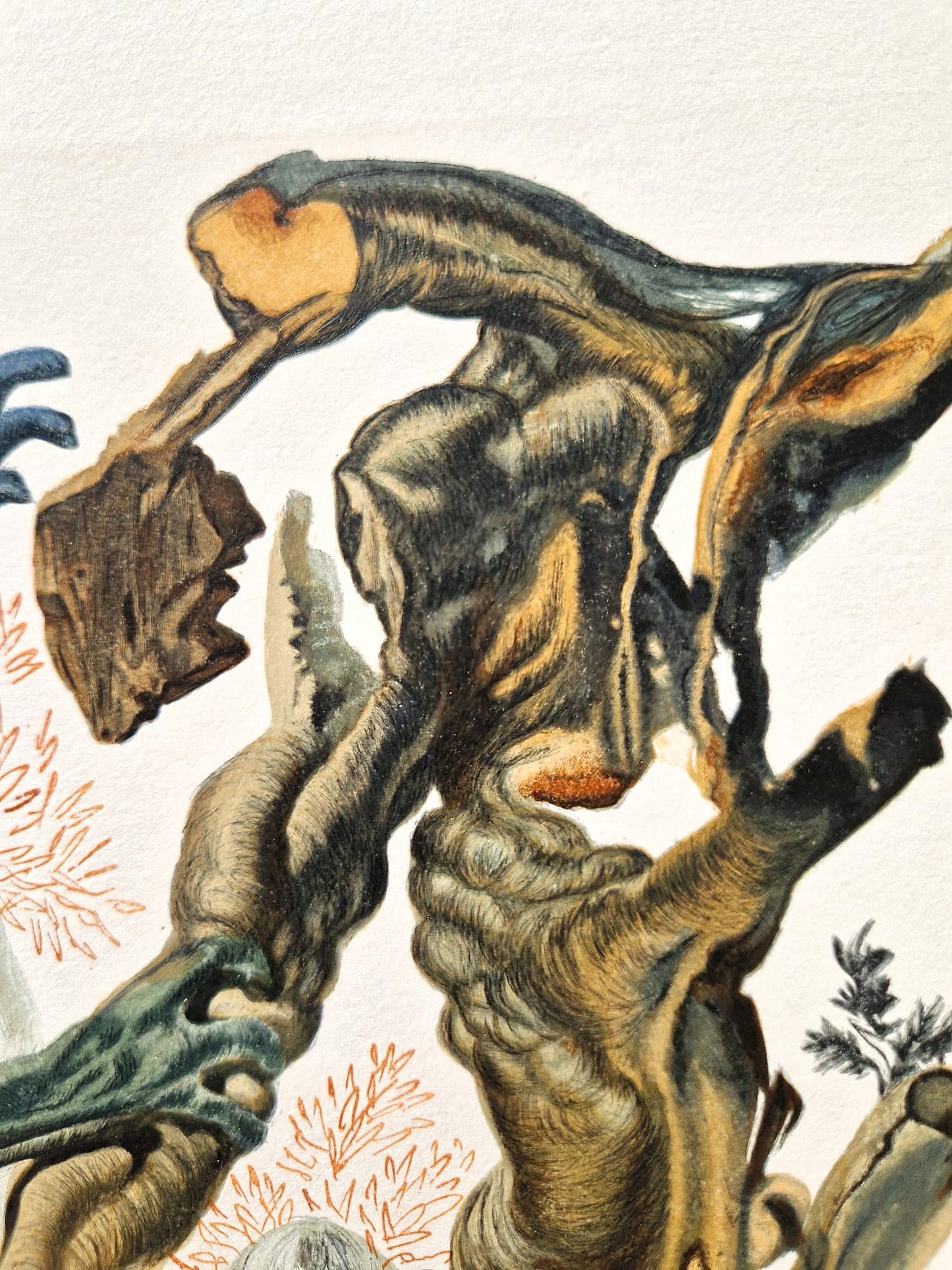 SALVADOR DALI - The Suicides (Dante - Divine Comedy) (Unframed)