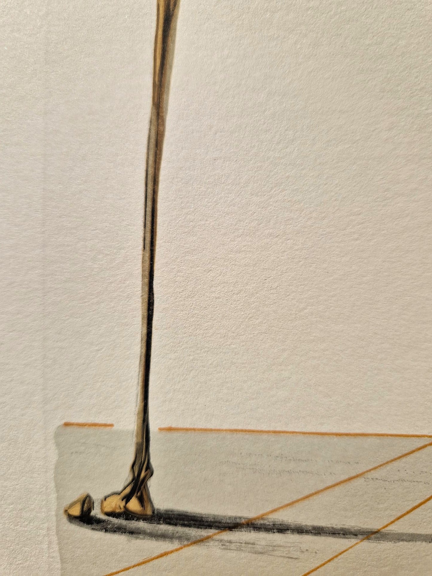 SALVADOR DALI - Bertrand de Born (Dante - Božská komédia) (Bez rámu) Drevoryt