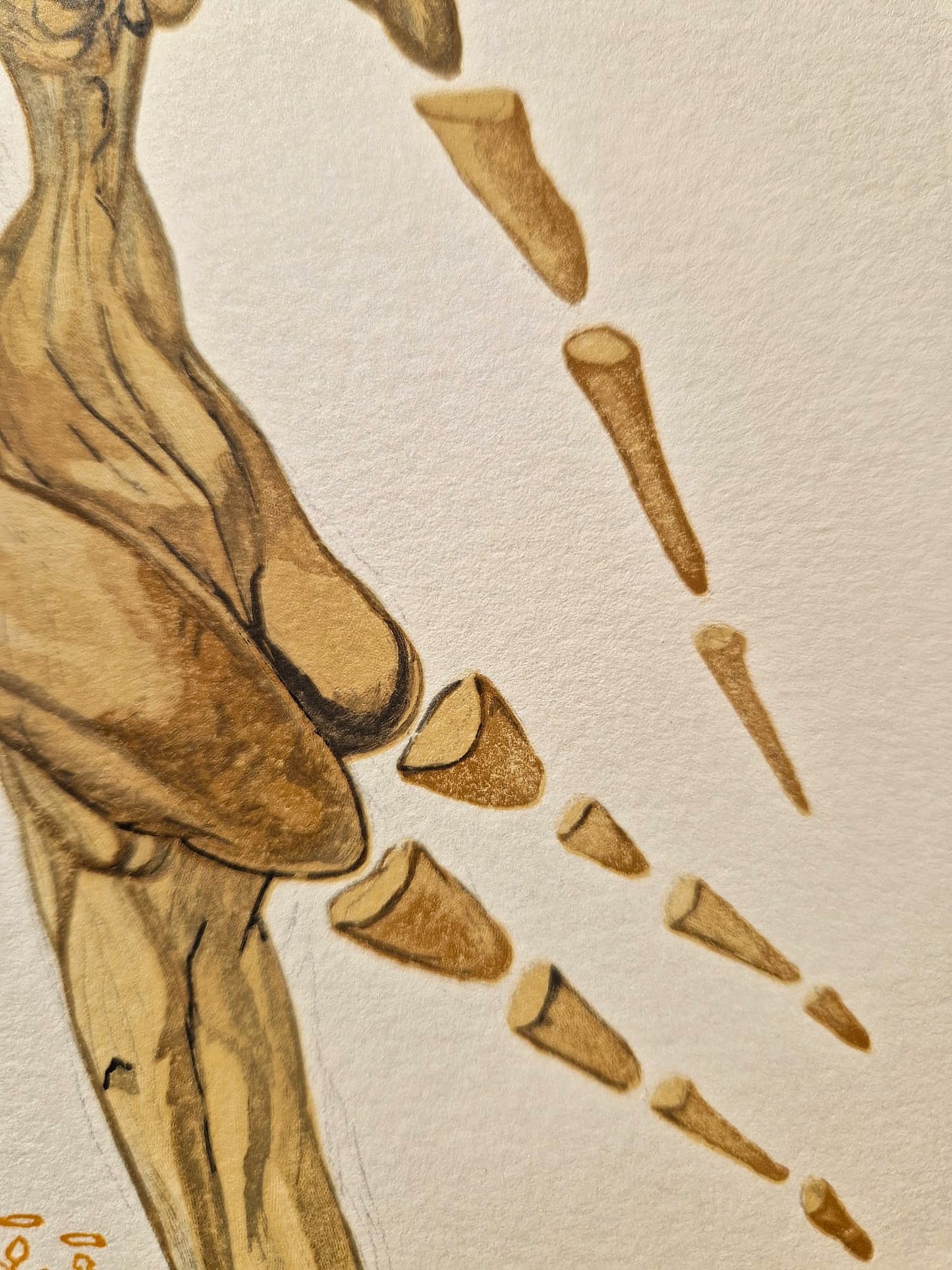 SALVADOR DALI - Bertrand de Born (Dante - Božská komédia) (Bez rámu) Drevoryt