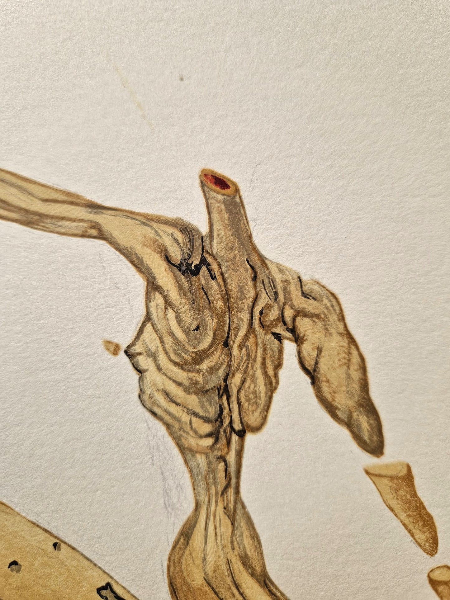 SALVADOR DALI - Bertrand de Born (Dante - Božská komédia) (Bez rámu) Drevoryt