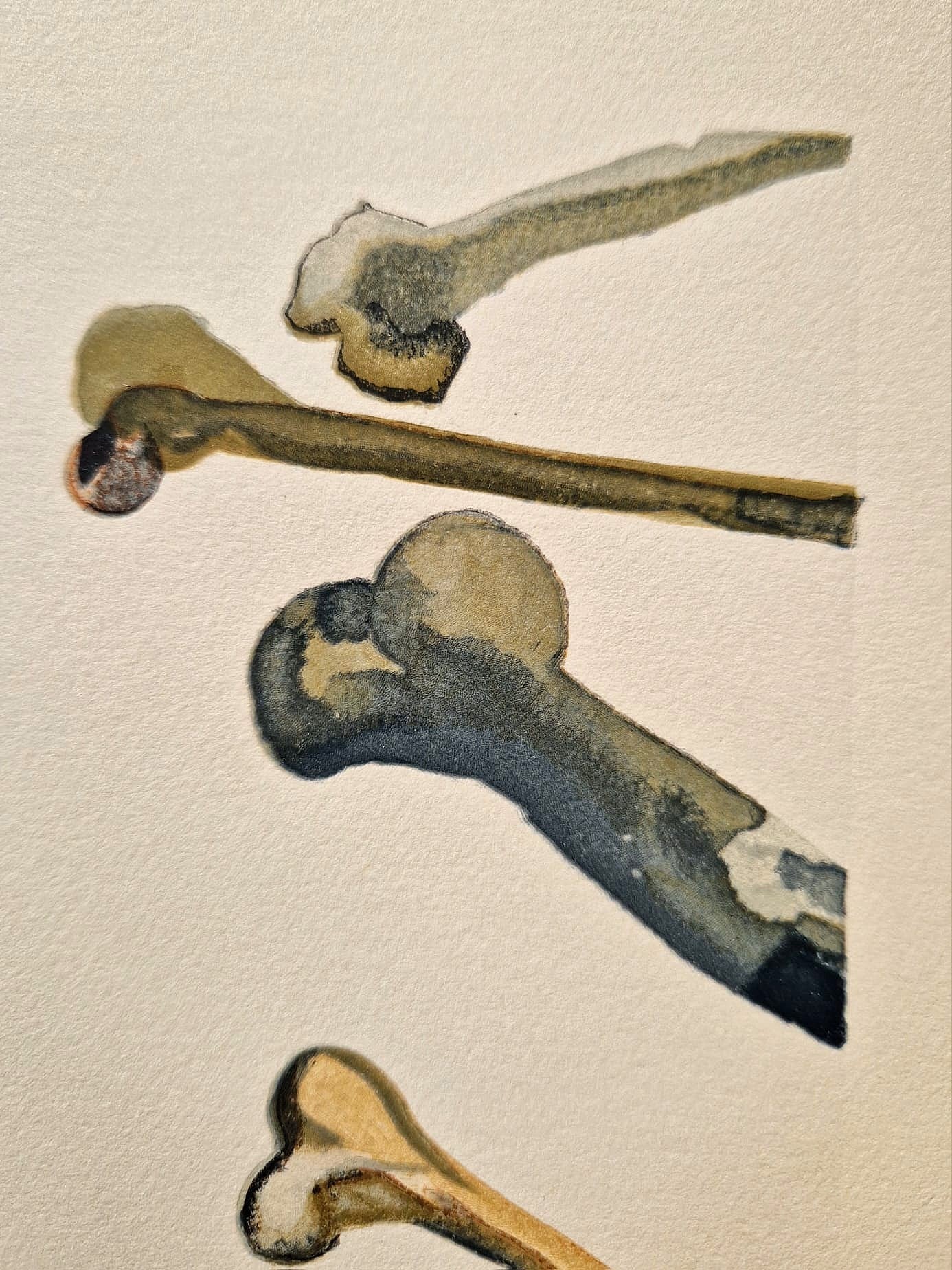 SALVADOR DALI - Podvodník (Dante - Božská komédia) (Bez rámu) Drevoryt