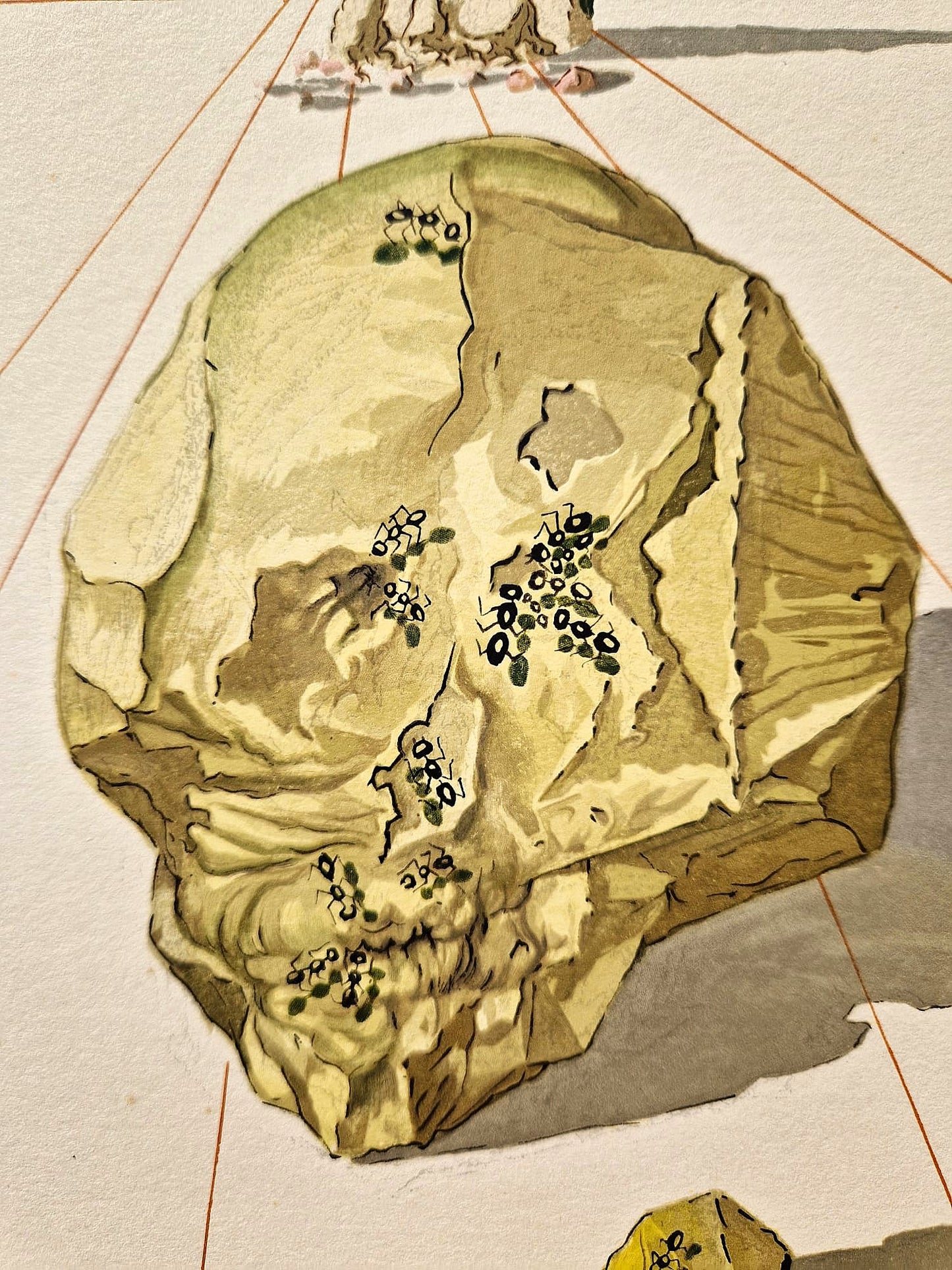 SALVADOR DALI - Pokrytci (Dante - Božská komédia) (Bez rámu) Drevoryt