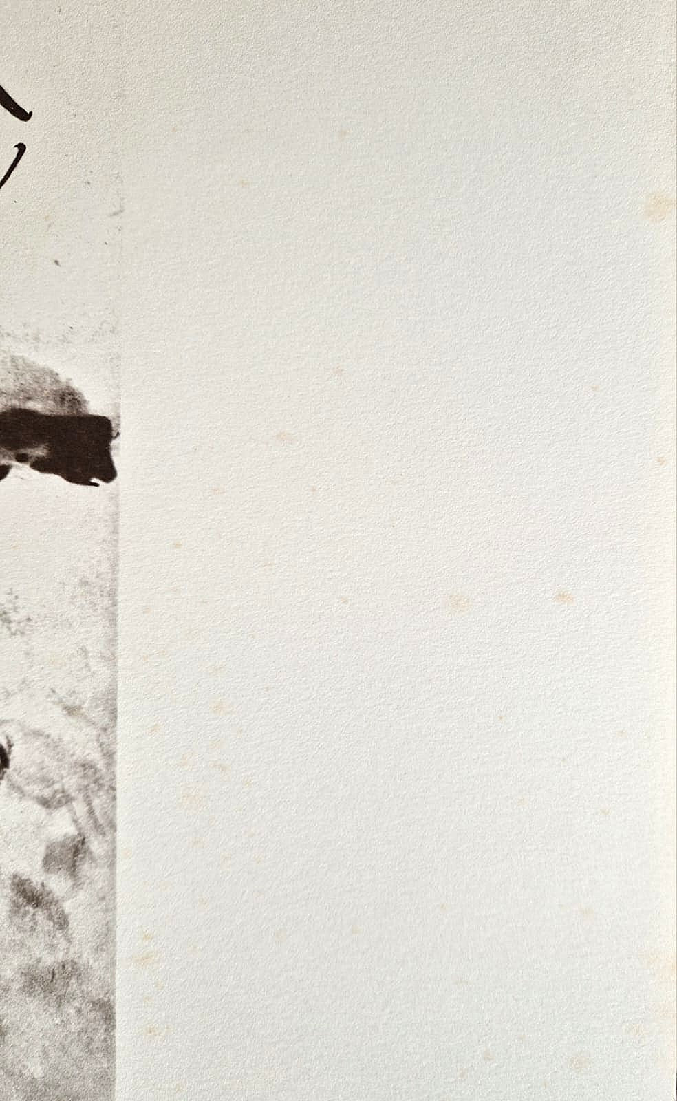 PABLO PICASSO - Cavalier en Armure (Unframed) Lithograph