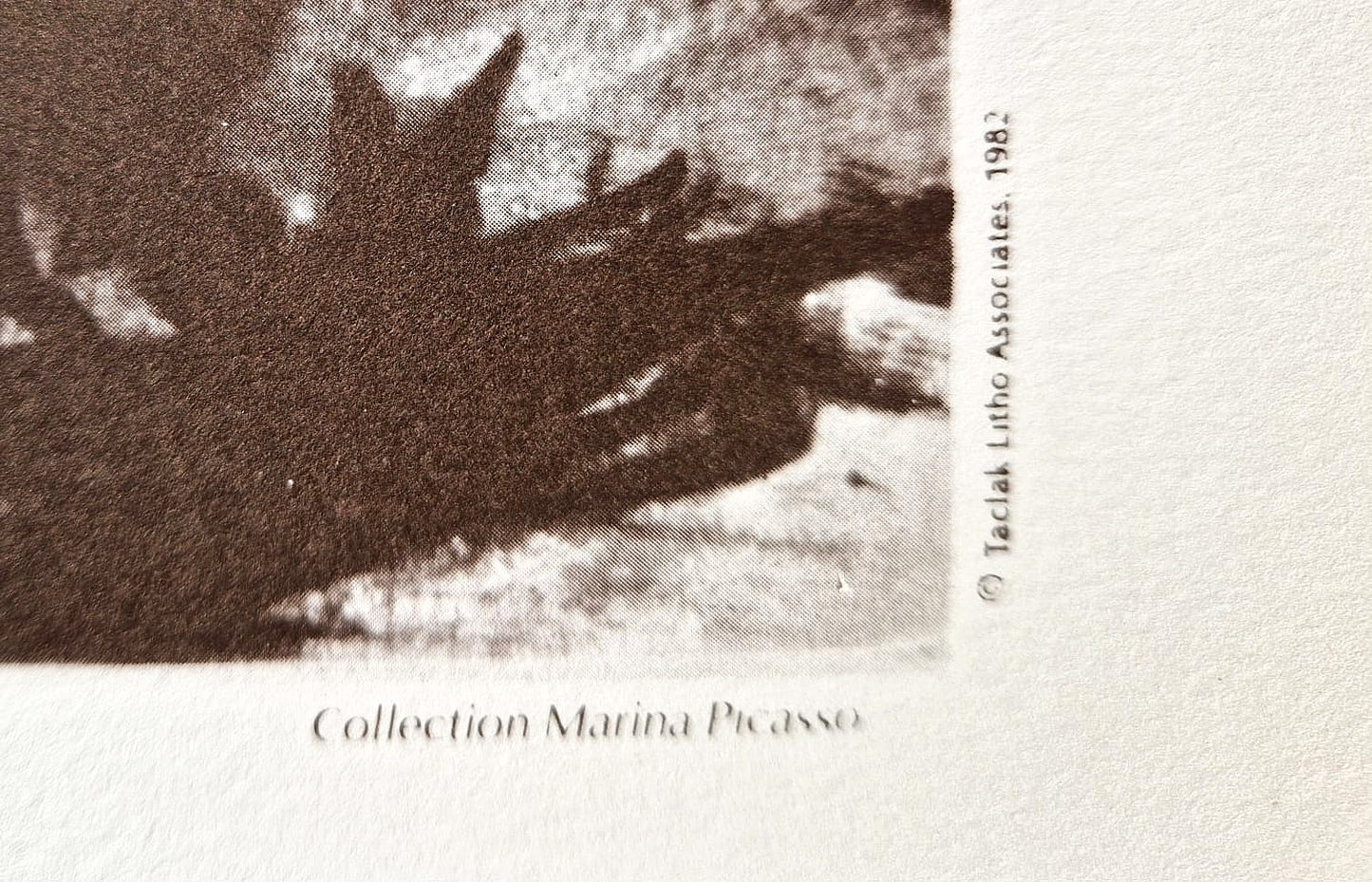 PABLO PICASSO - Cavalier en Armure (Unframed) Lithograph