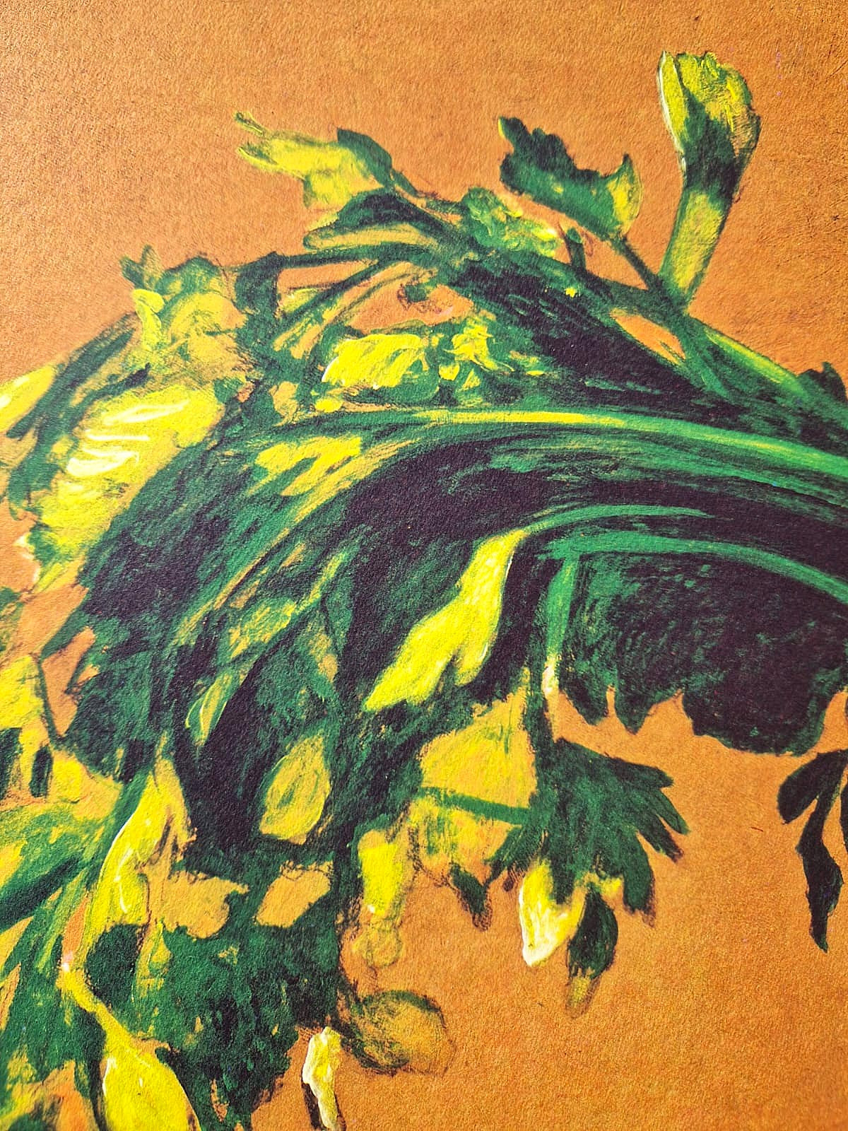 ANDREAS SCHOLZ - Celery and Tomato (Unframed), Lithograph