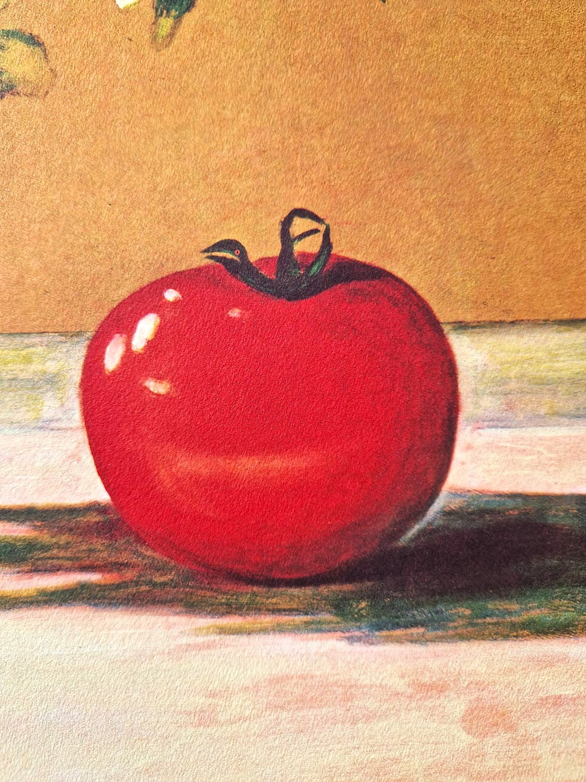 ANDREAS SCHOLZ - Celery and Tomato (Unframed), Lithograph