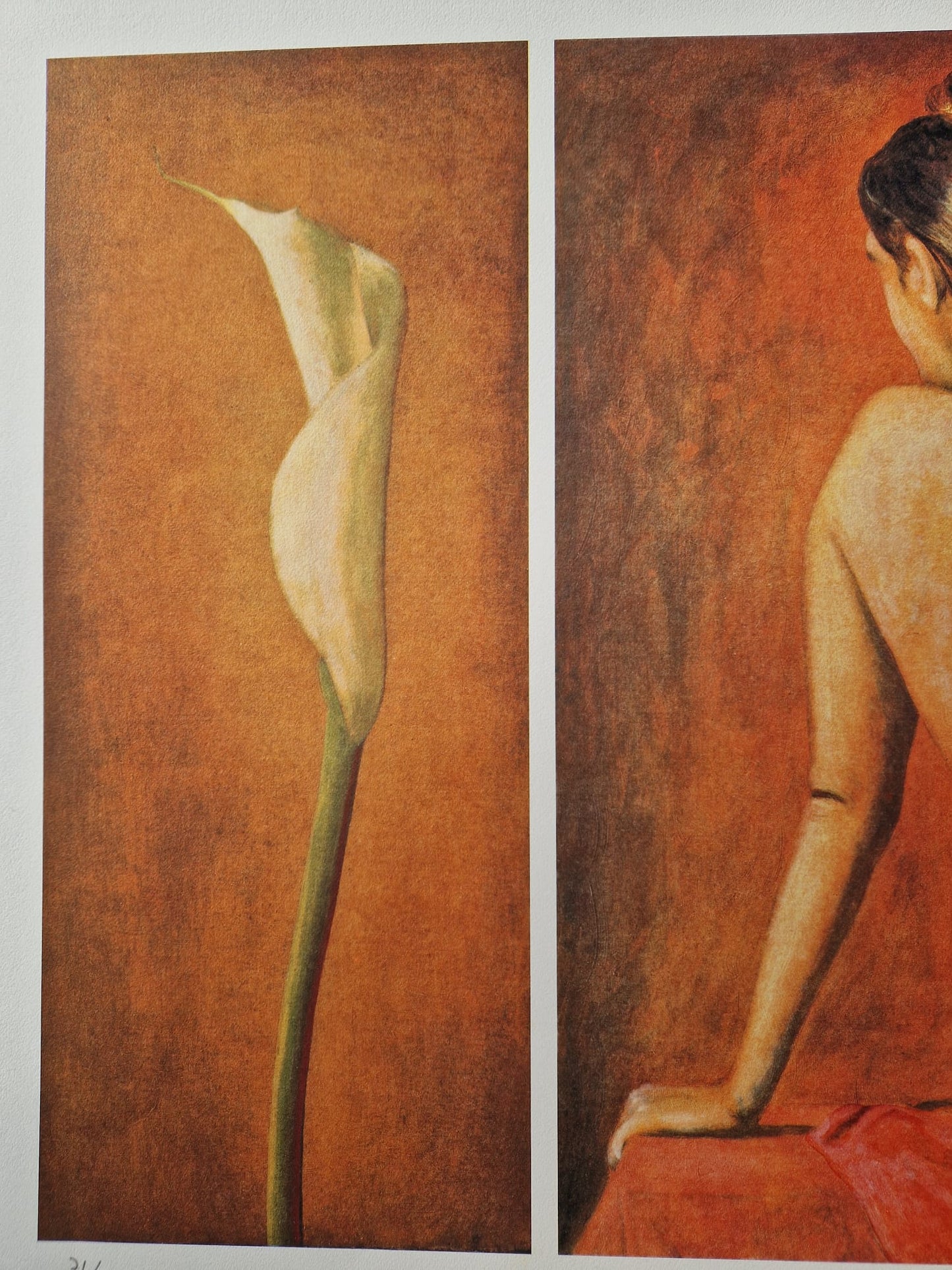 ANDREAS SCHOLZ - Akt mit Calla Links (Unframed), Lithograph