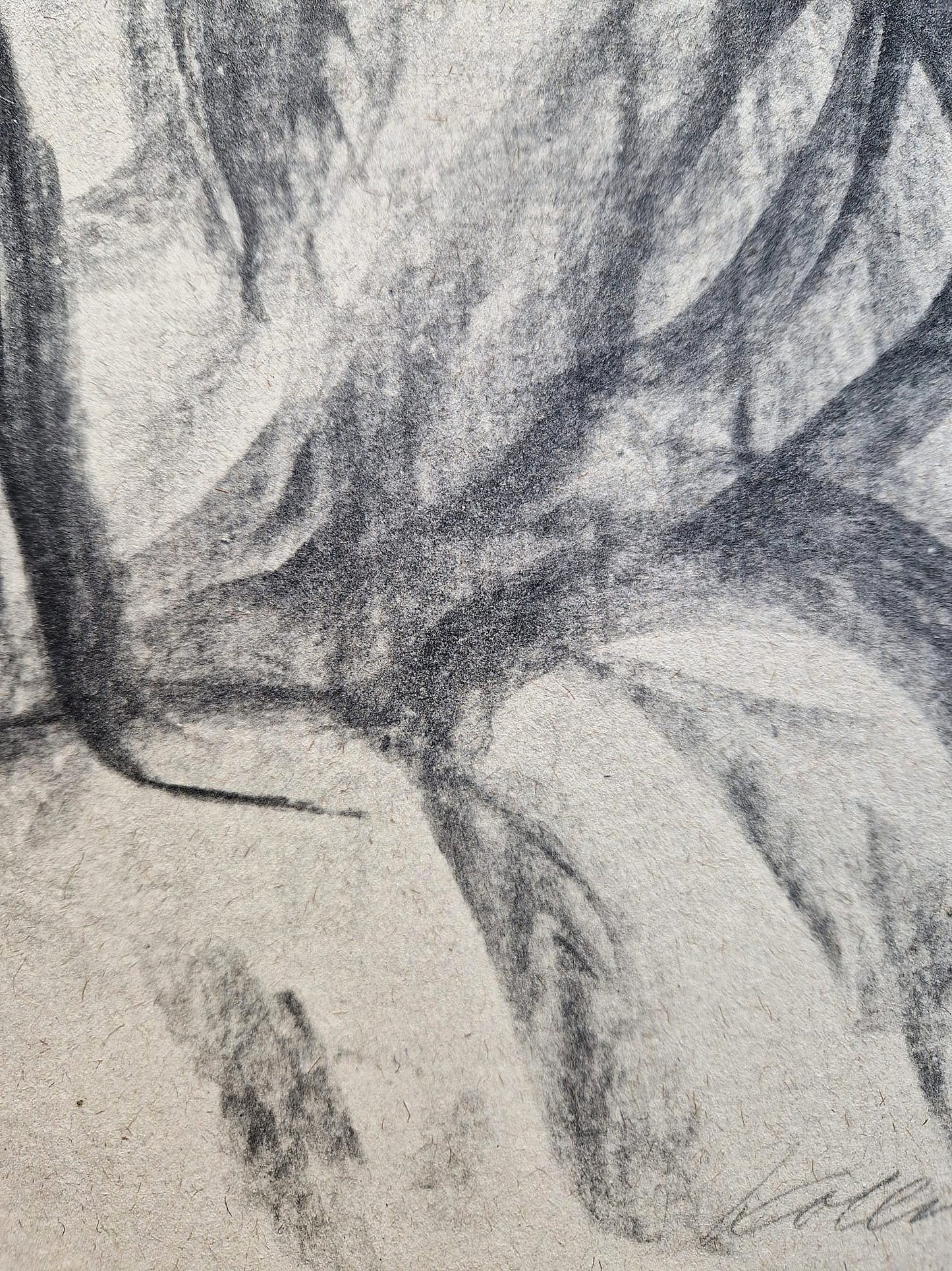 Käthe Kollwitz - Study for Professor Breyfig's Gravestone (Unframed), High-Quality Collotype Print