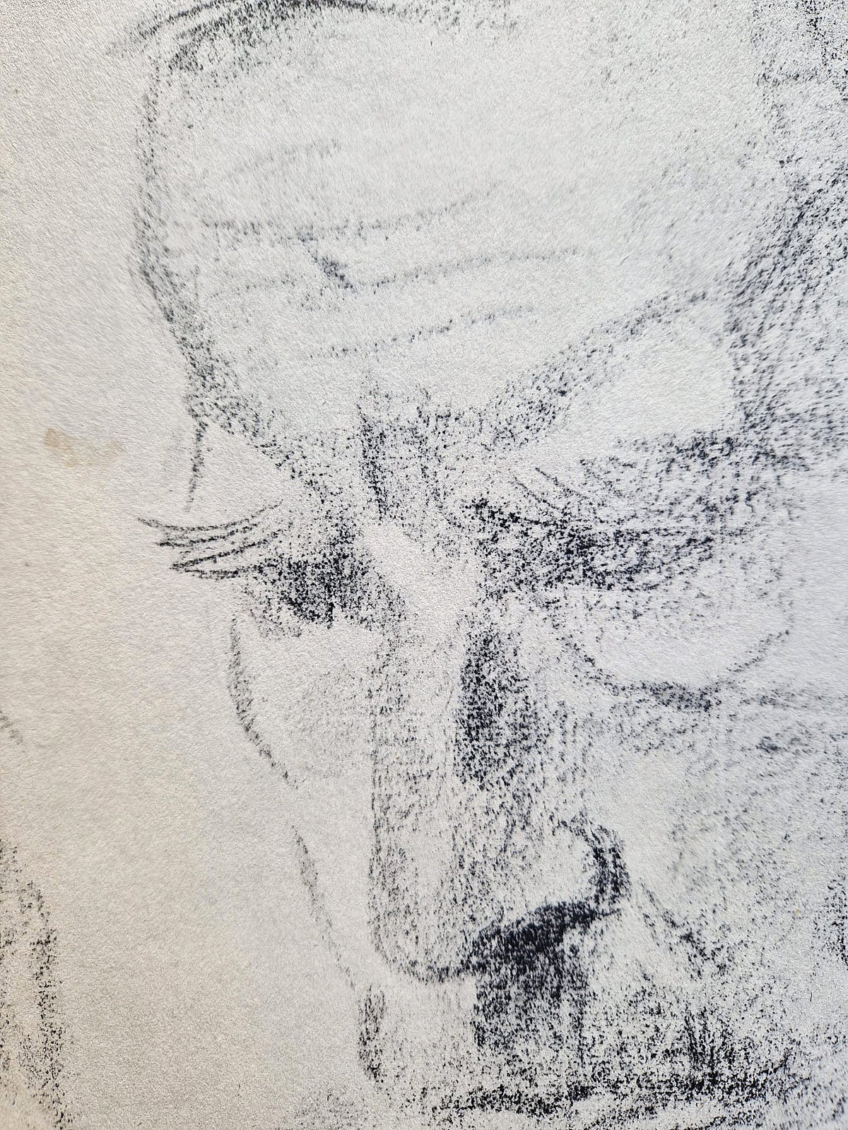 Käthe Kollwitz – Portrét Karla Kollwitza (nerámované), vysokokvalitná kolotypia (print)
