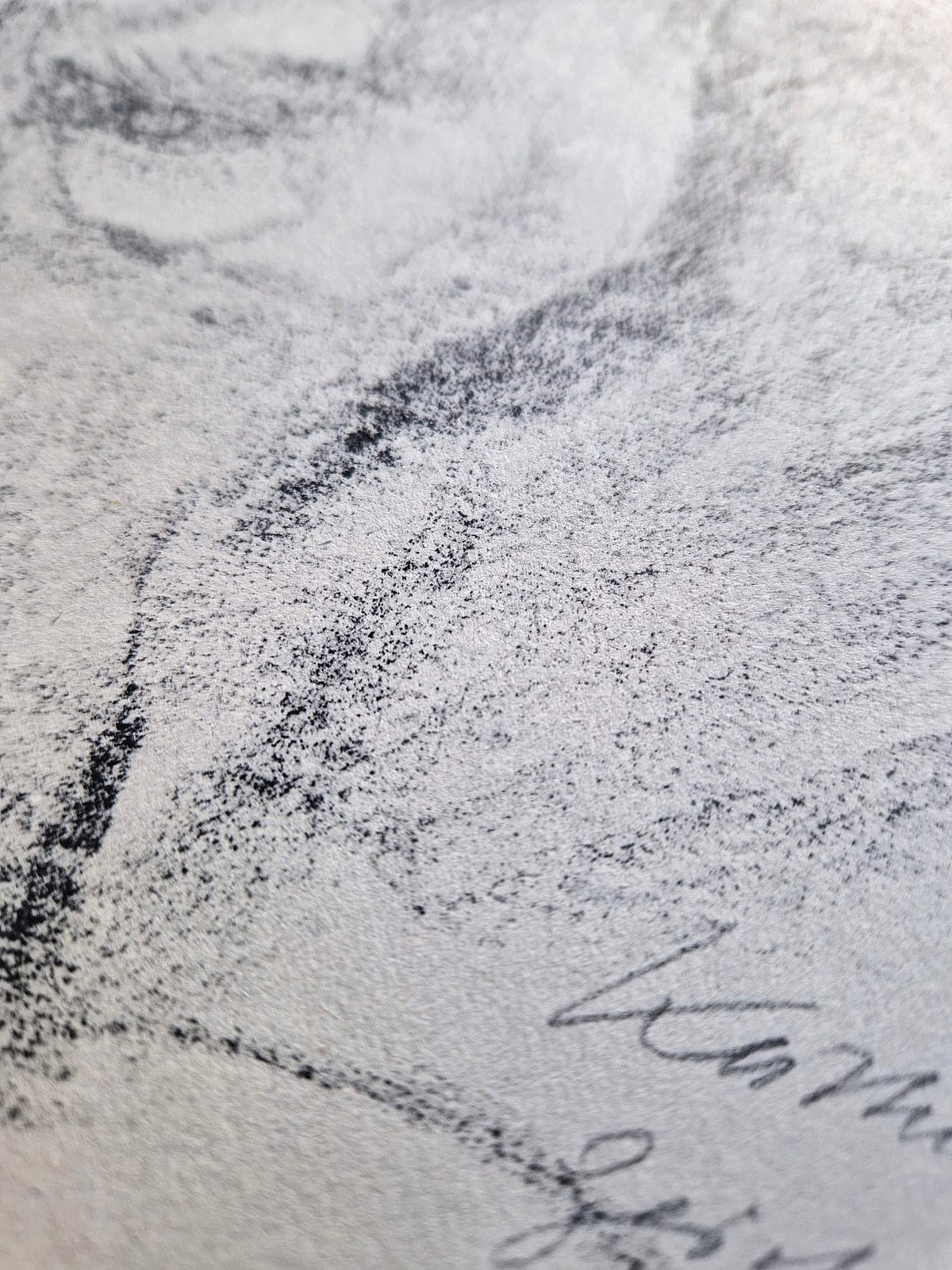 Käthe Kollwitz – Portrét Karla Kollwitza (nerámované), vysokokvalitná kolotypia (print)