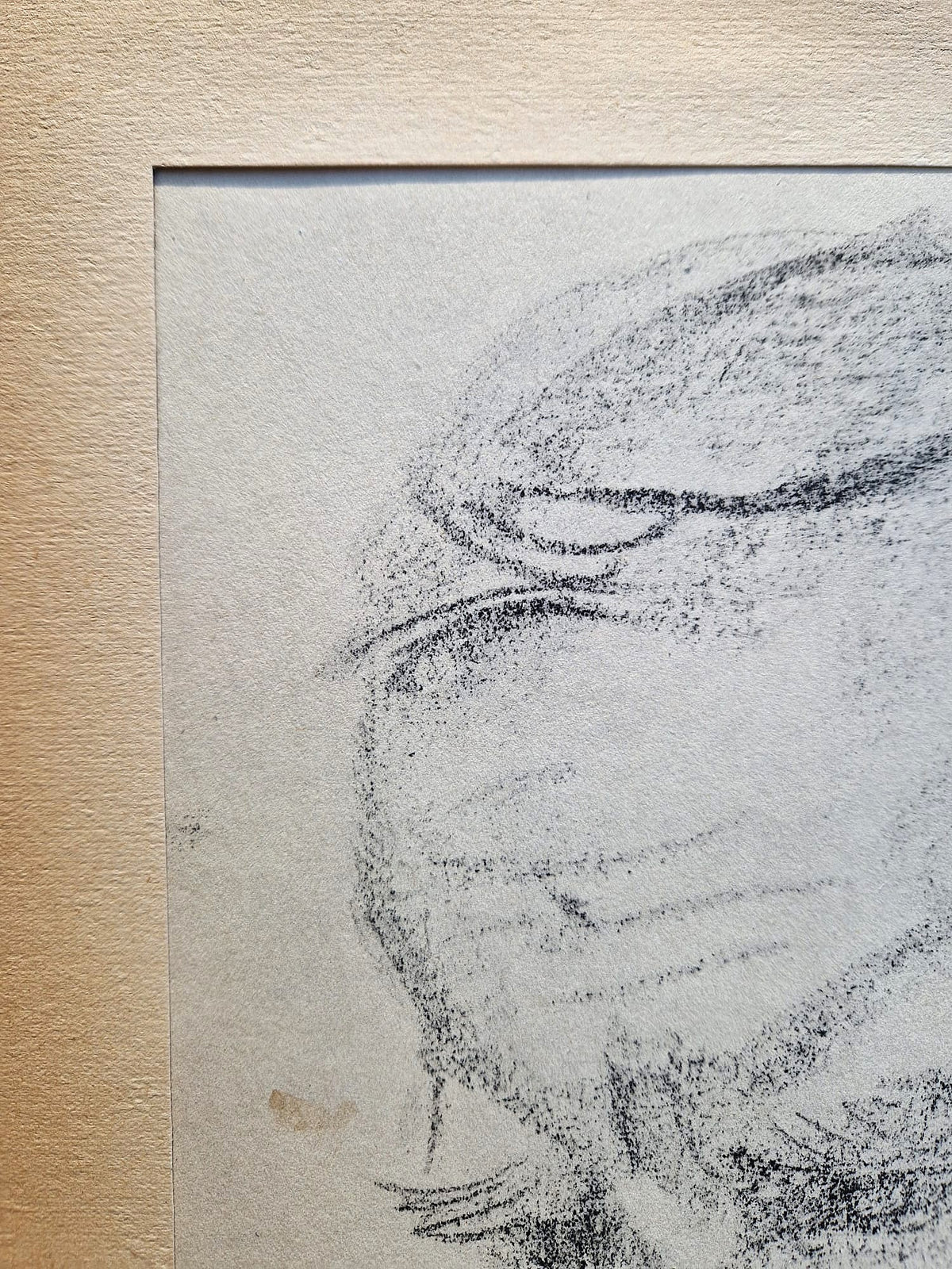 Käthe Kollwitz – Portrét Karla Kollwitza (nerámované), vysokokvalitná kolotypia (print)