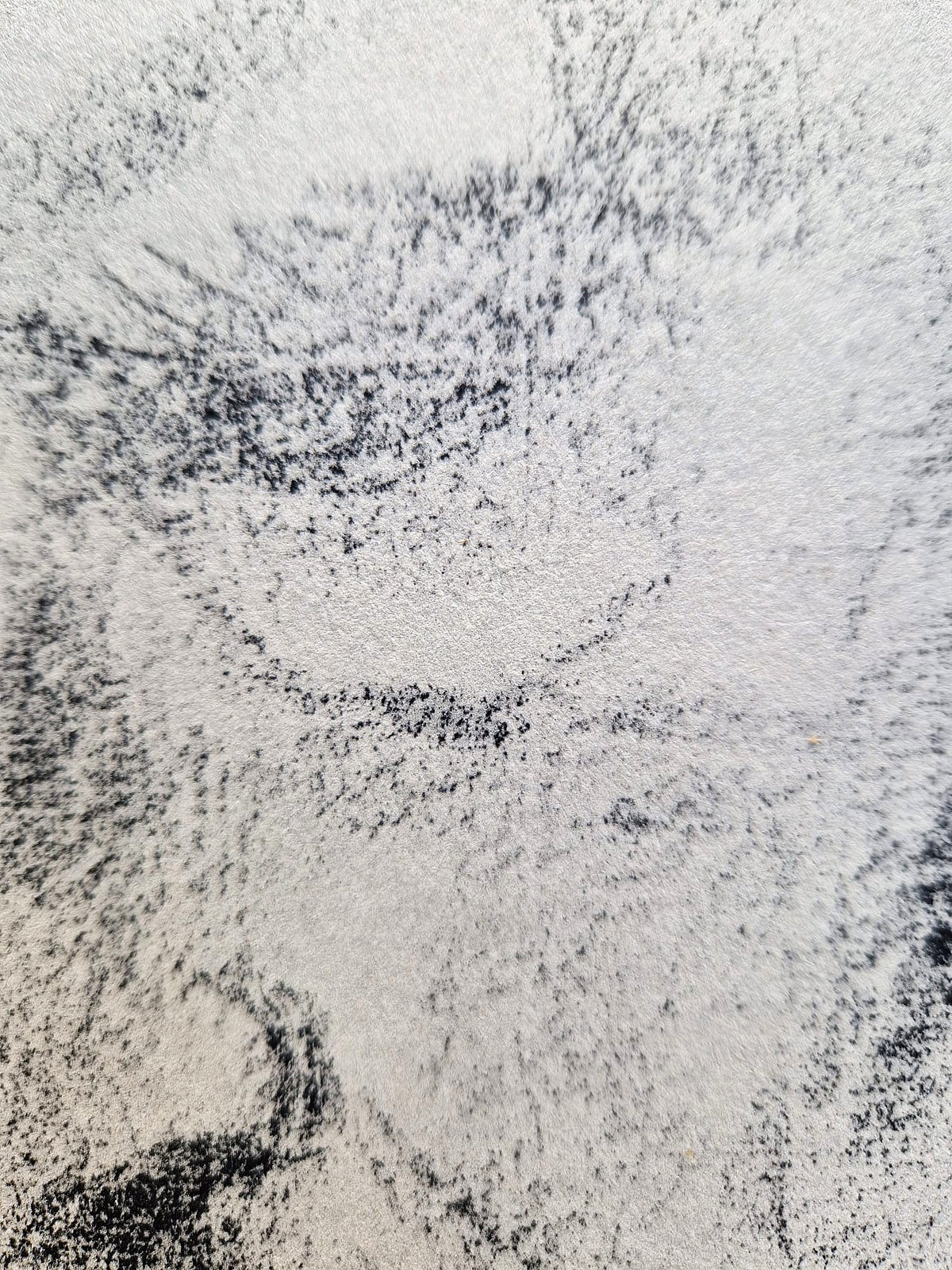Käthe Kollwitz – Portrét Karla Kollwitza (nerámované), vysokokvalitná kolotypia (print)