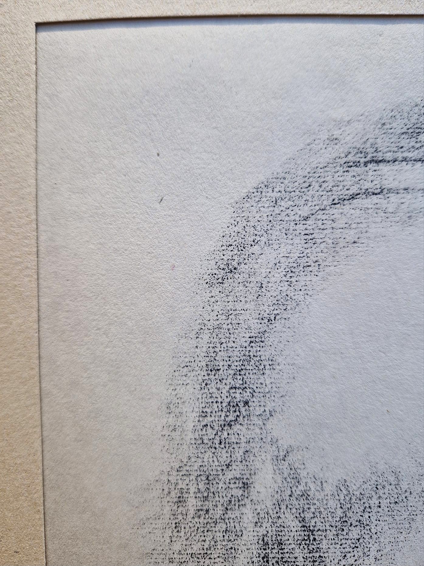Käthe Kollwitz - Dr. Heinrich Brau (Unframed), High-Quality Collotype Print